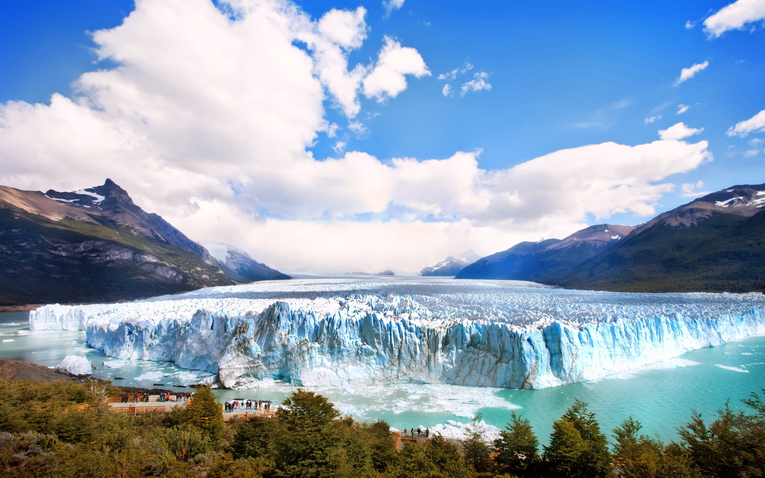 Wallpapers argentina glacier forest on the desktop