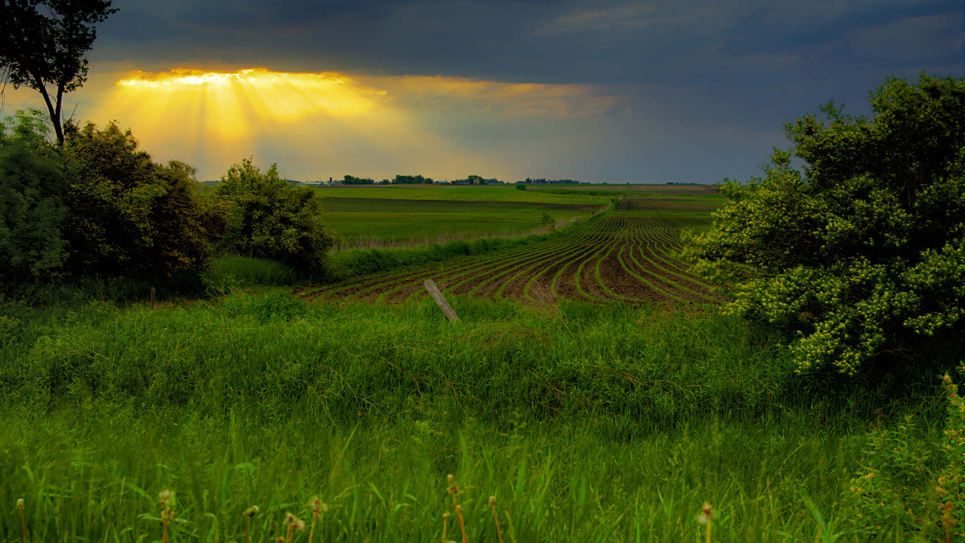 Бесплатное фото Солнечные лучи светят на зеленое поле из пасмурного неба