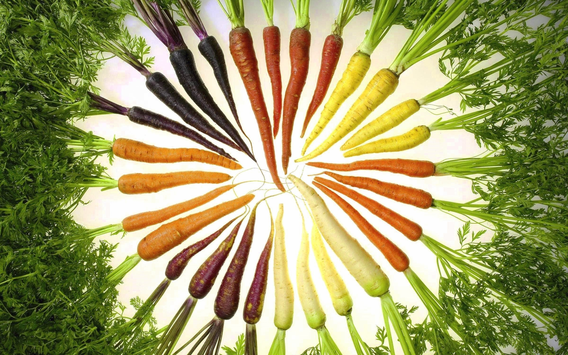 Фото бесплатно морковка, разноцветная, необычная