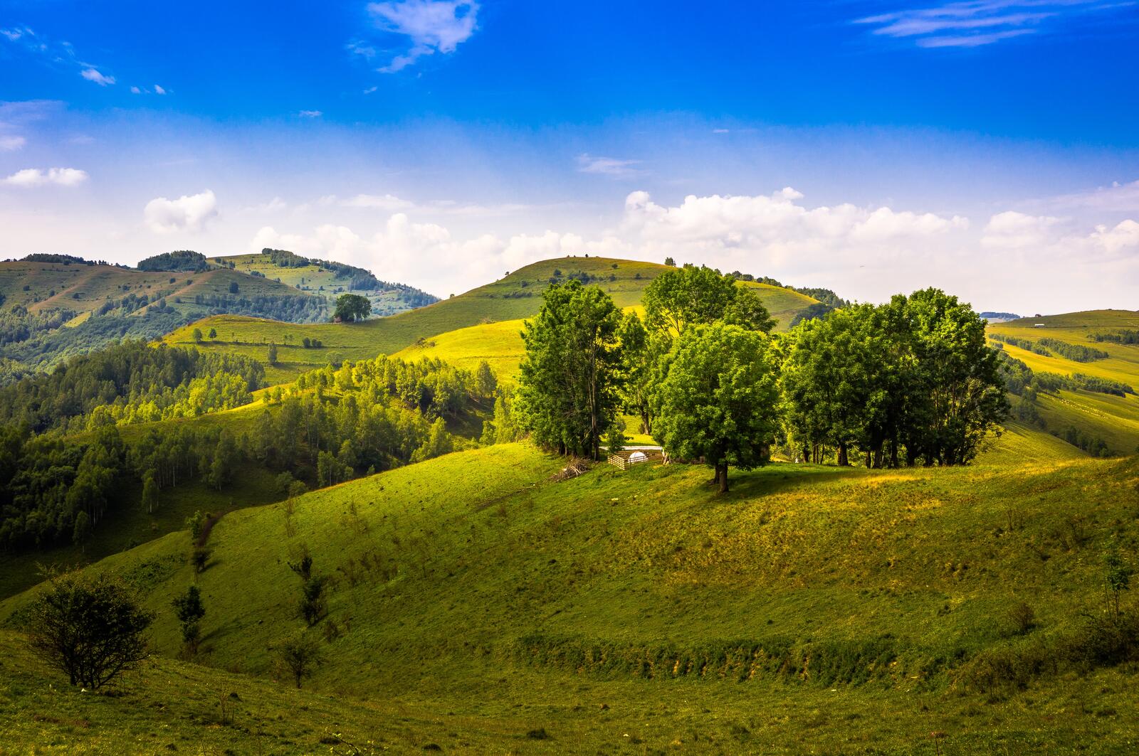 Обои холмы пейзаж румыния на рабочий стол