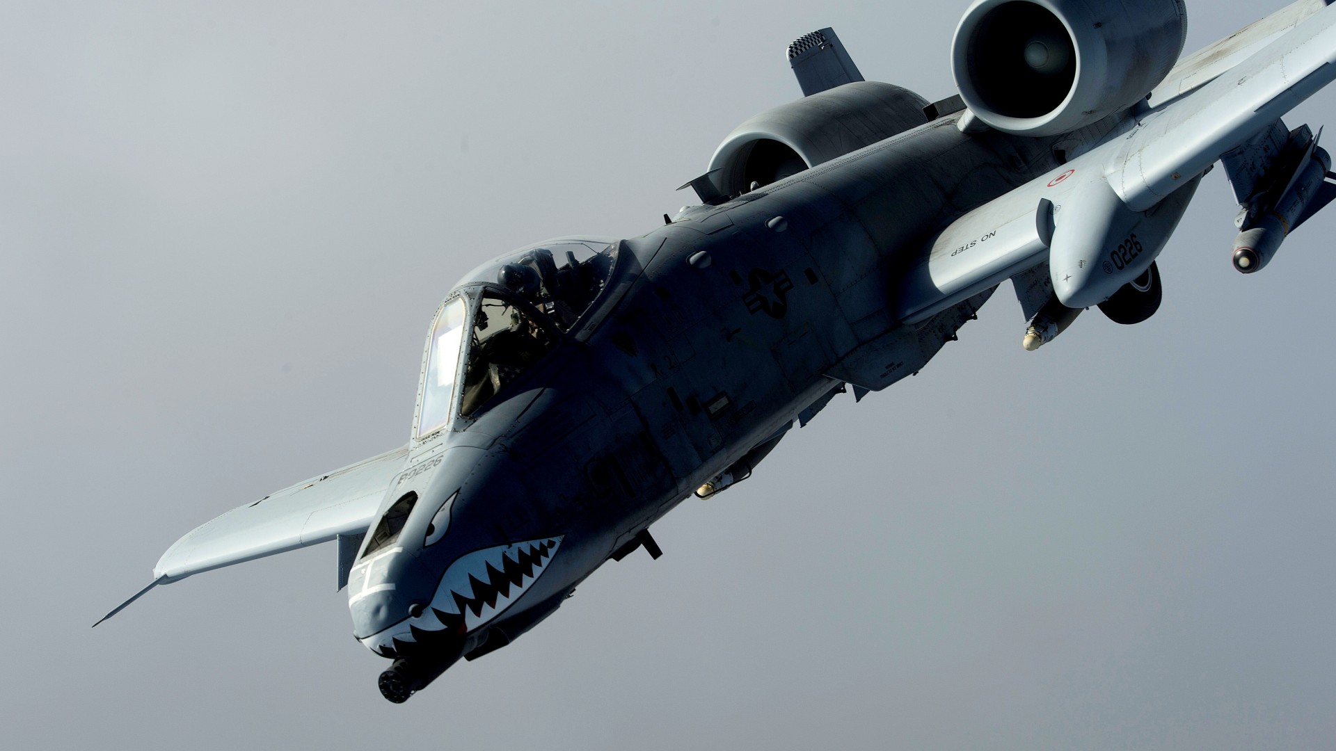 Wallpapers airplane military shark on the desktop
