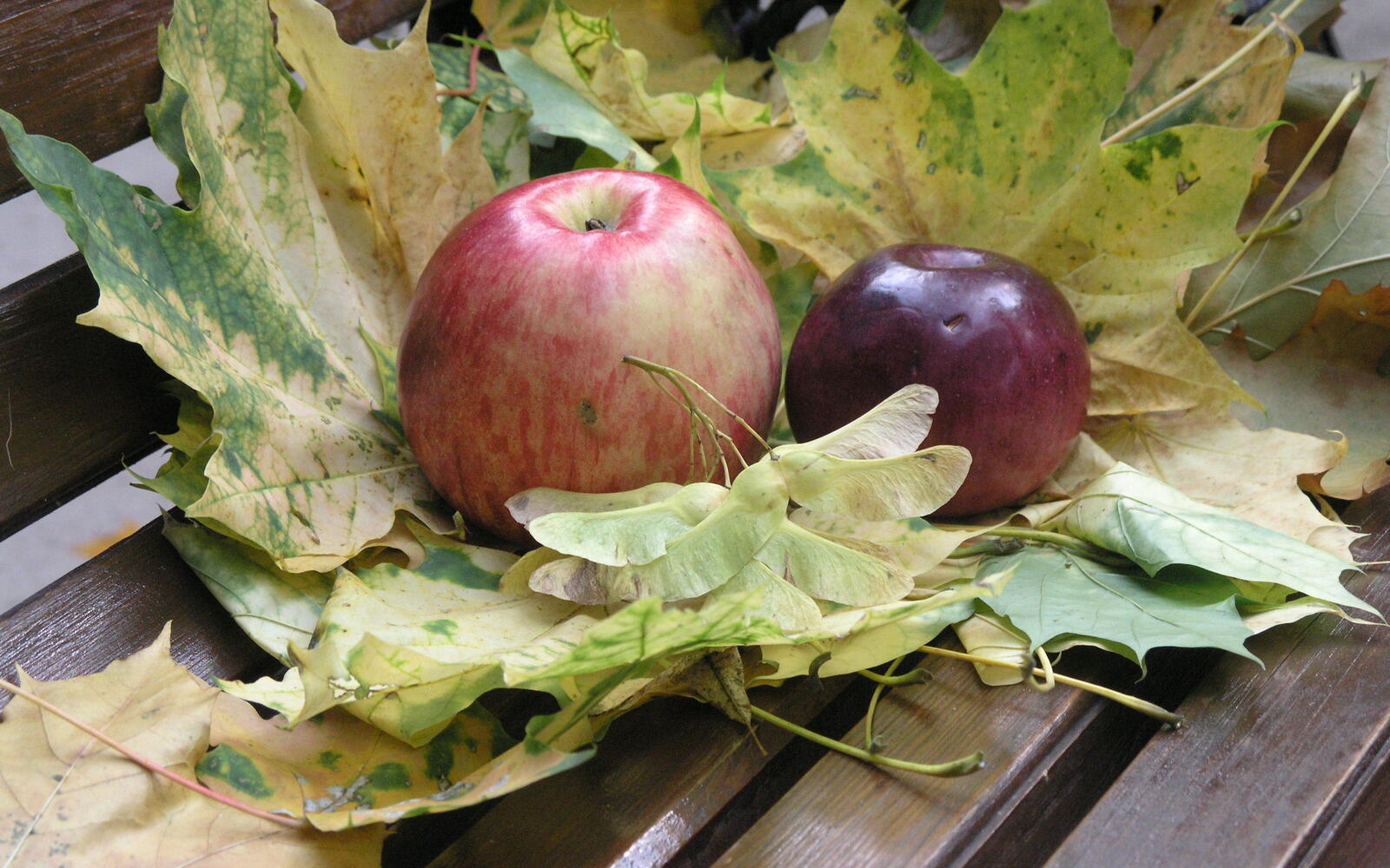 Обои фрукты спелые большие на рабочий стол
