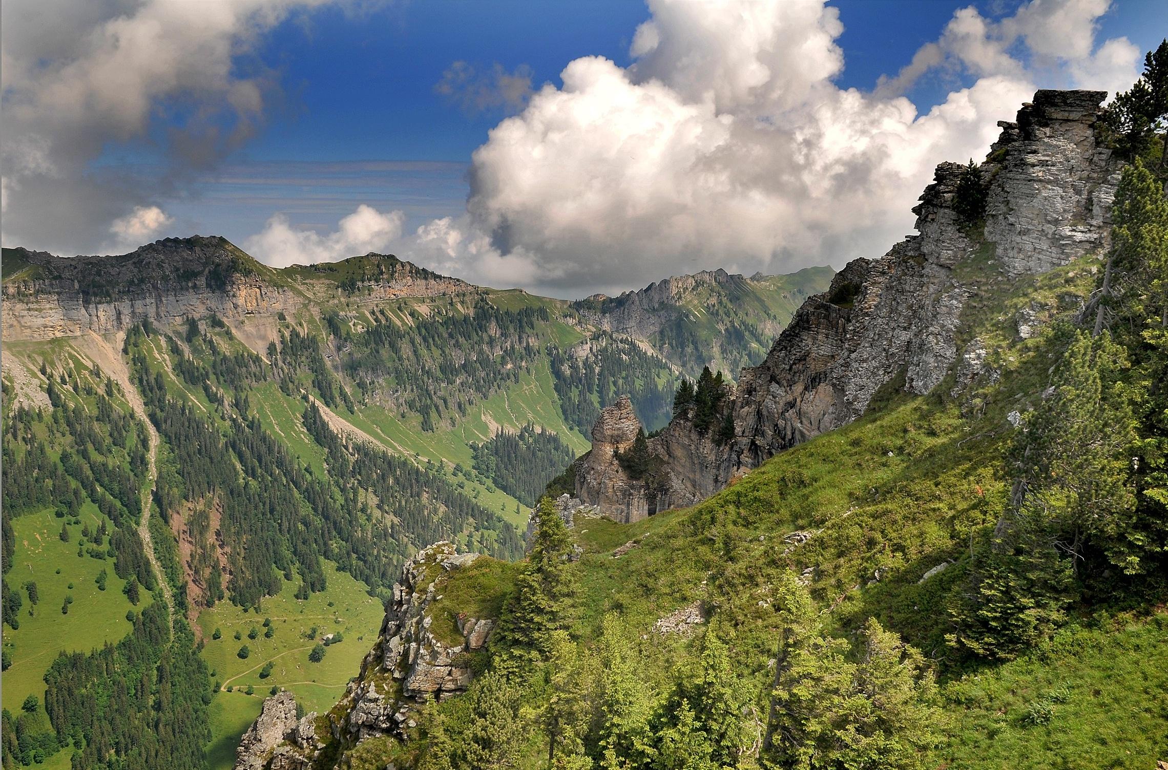 Фото бесплатно вид сверху, деревья, швейцария