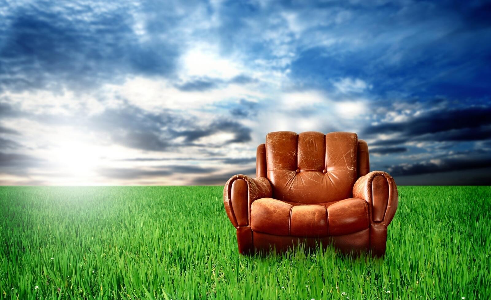 Wallpapers armchair leather grass on the desktop