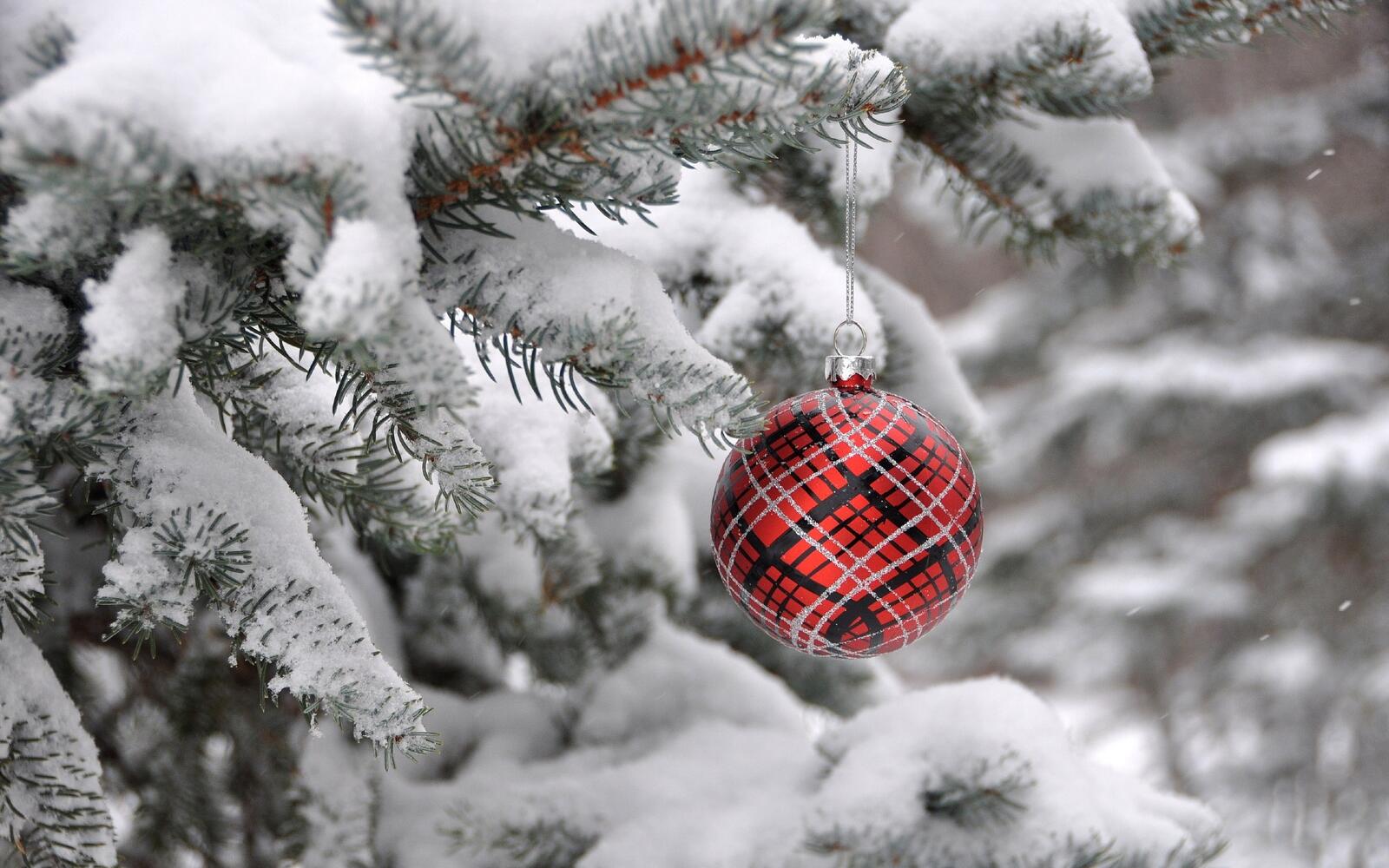 Wallpapers New Year s patterned ball branch snow on the desktop