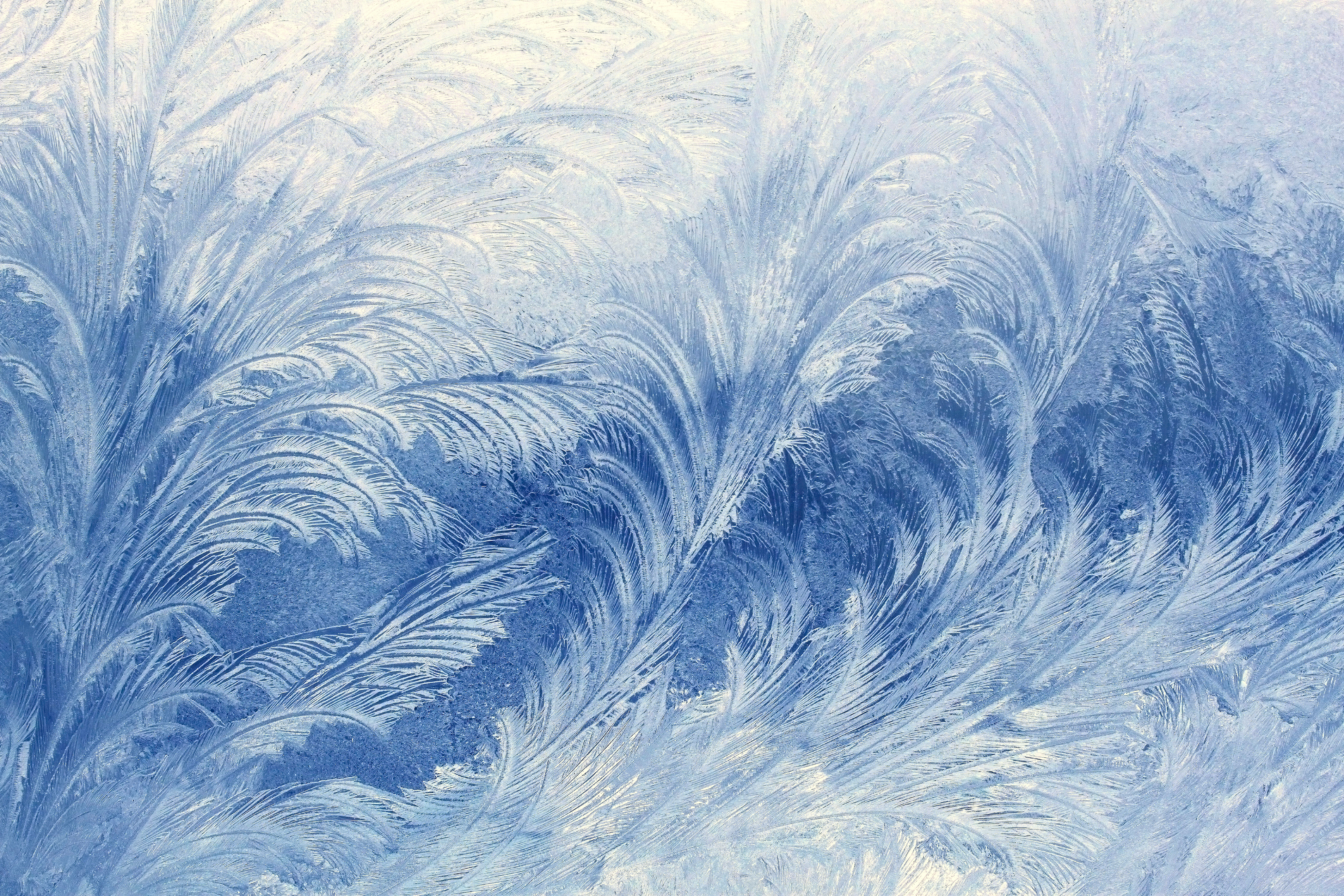 Wallpapers winter frost pattern on the desktop