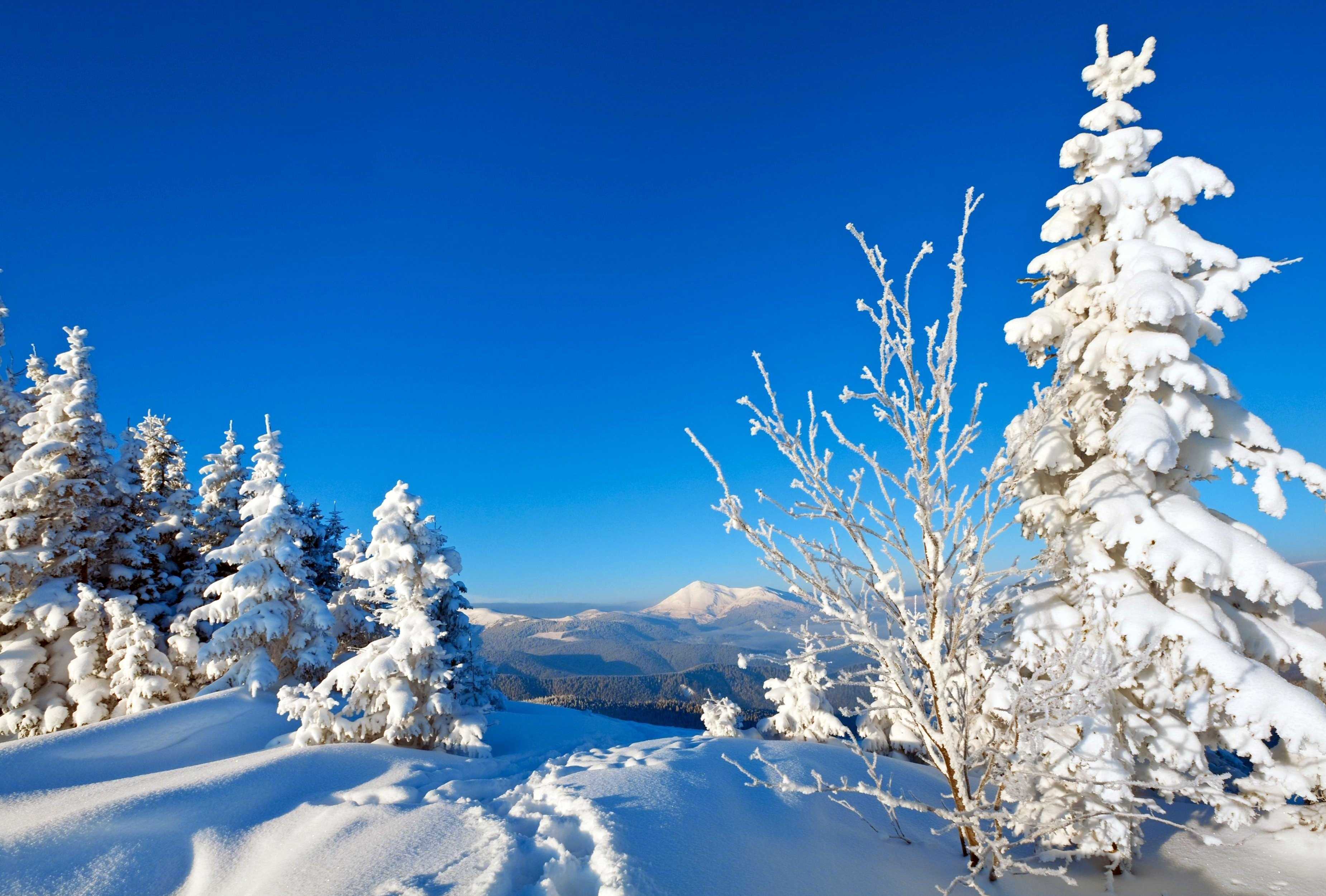 Фото бесплатно много снега, снег, деревья в снегу