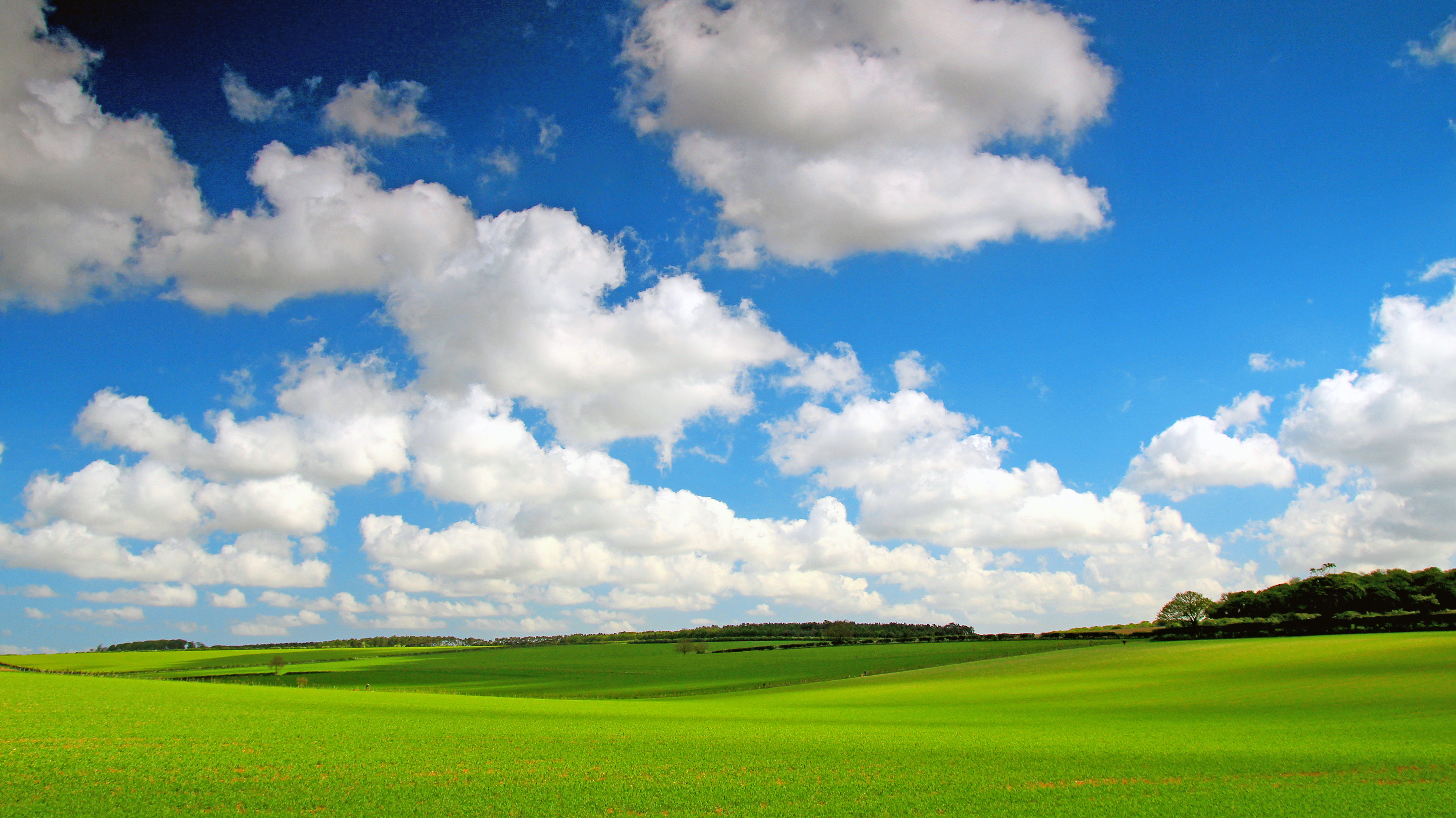 Фото бесплатно трава, пейзажи, зеленое поле