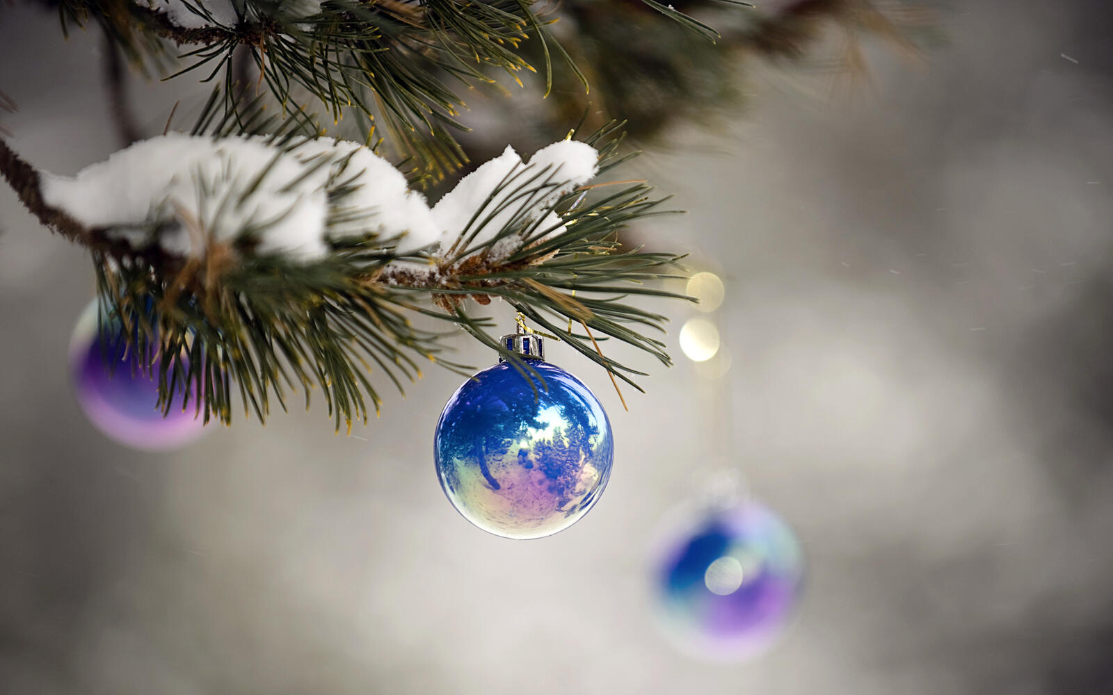 Wallpapers Balls on spruce branches snow ball on the desktop