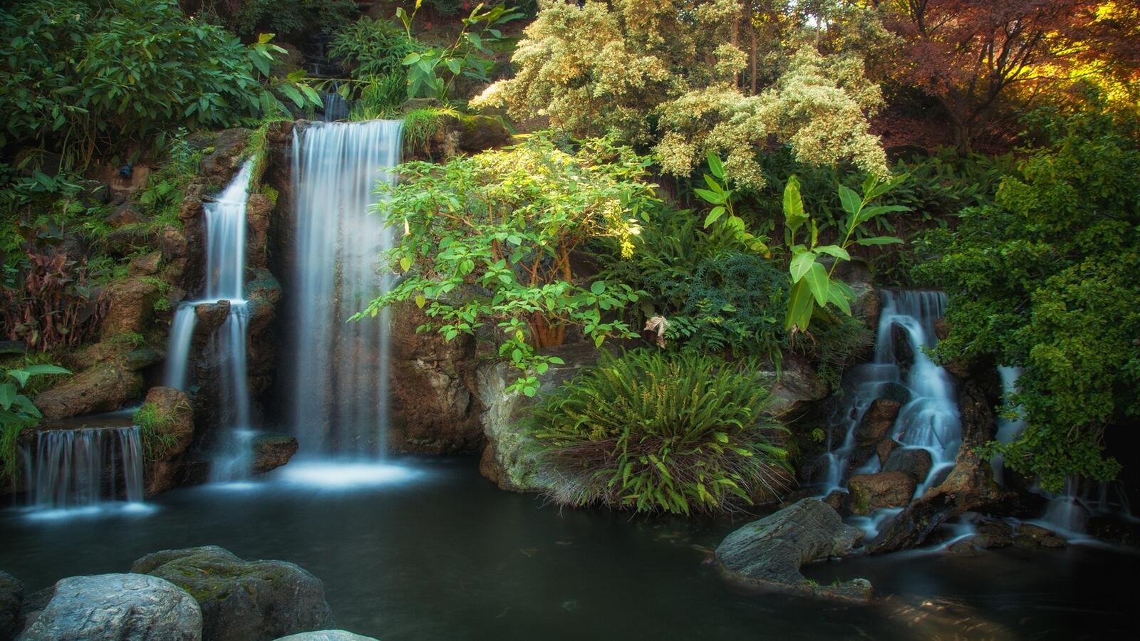 Wallpapers waterfall pond forest on the desktop