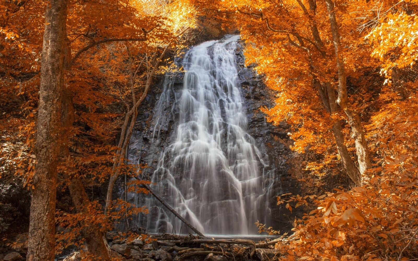 Wallpapers autumn waterfall autumn trees on the desktop