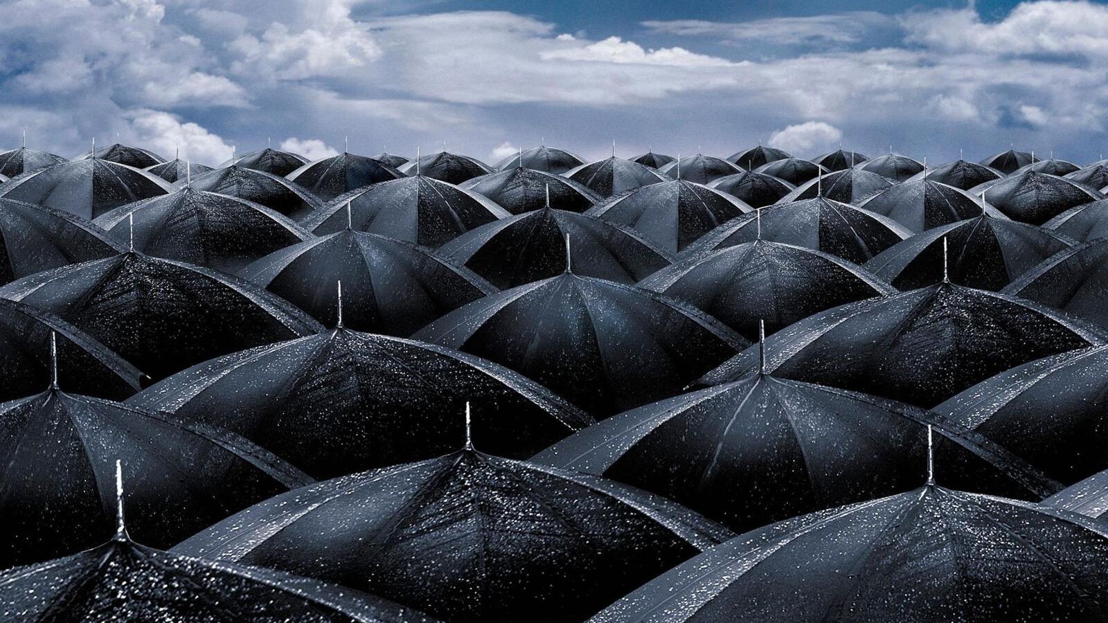 umbrellas black drops