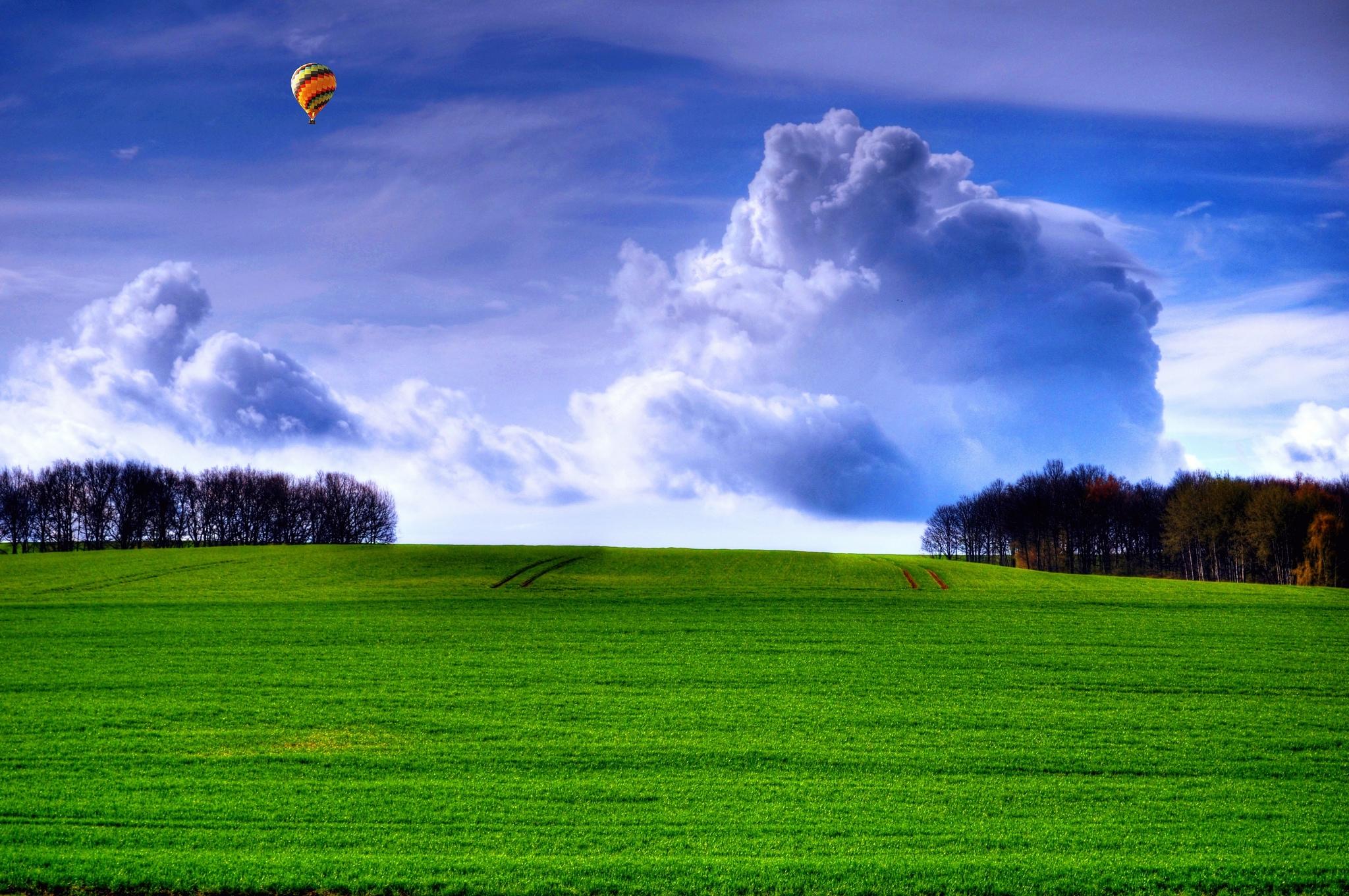 Wallpapers trees hill balloon on the desktop