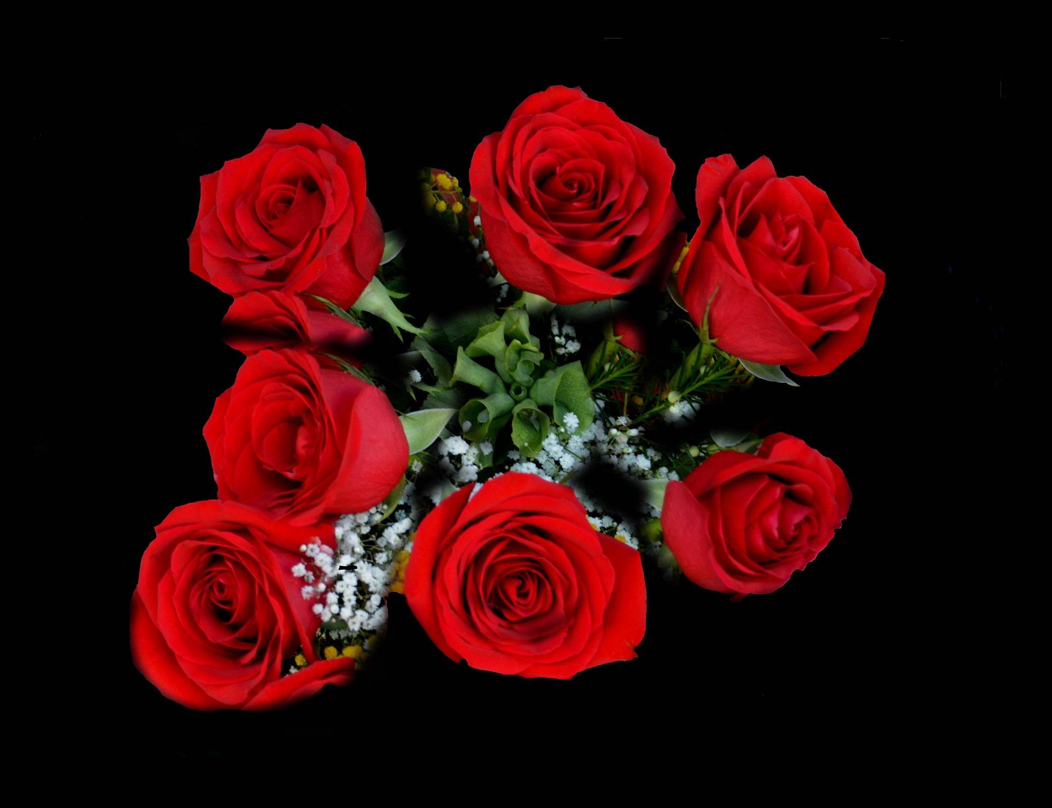 桌面上的壁纸花 红玫瑰 红玫瑰花束