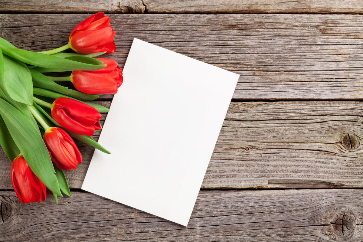 A bouquet of red tulips with a white piece of paper