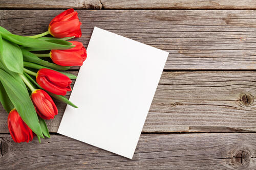 Букет красных тюльпанов с белым листком бумаги
