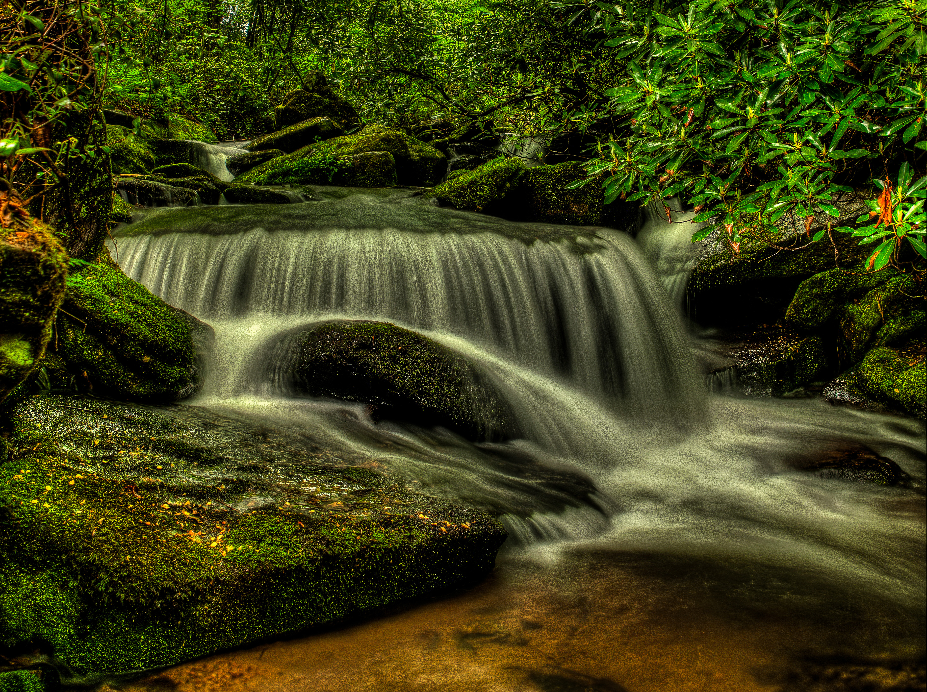 桌面上的壁纸滩溪瀑布 皮斯加国家森林公园 北卡罗来纳州