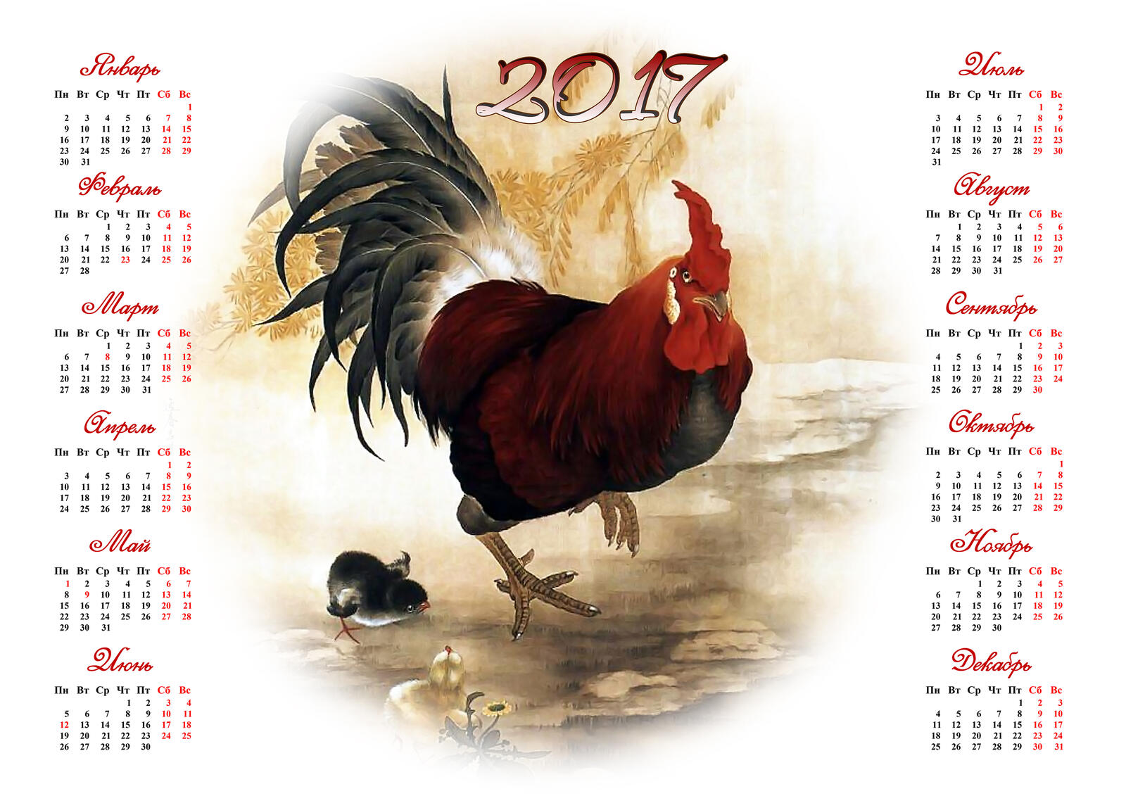 桌面上的壁纸鸡年 2017 年日历 火公鸡