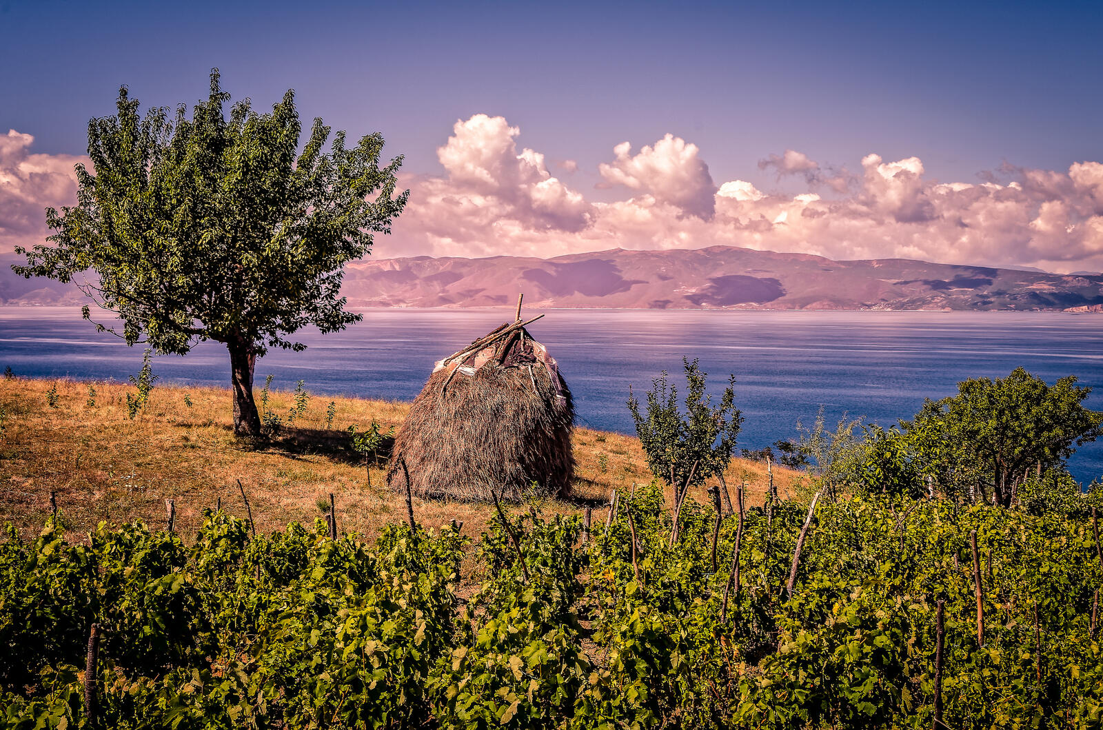 Обои Охридское озеро Охрид Македония на рабочий стол