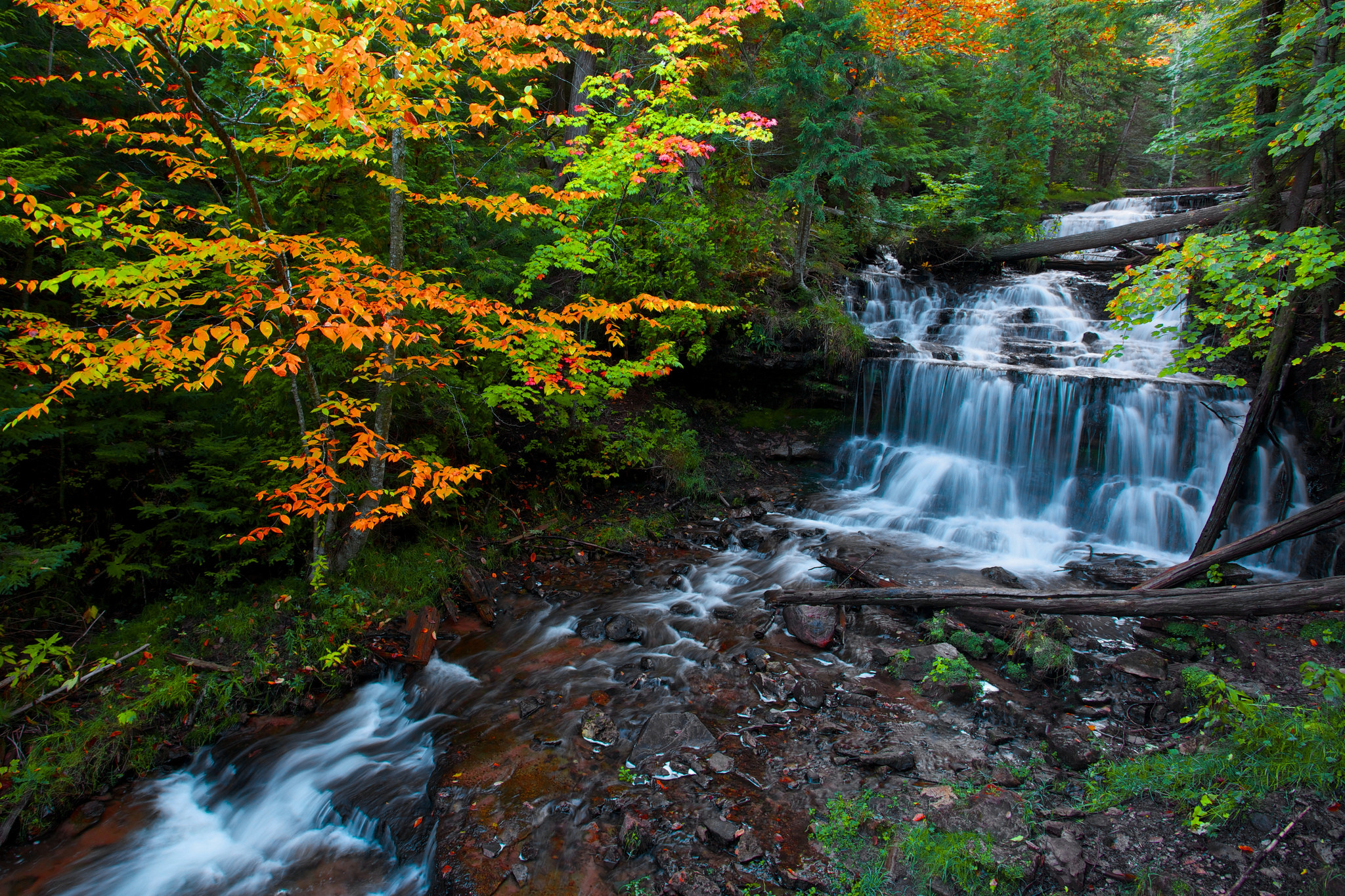 Фото бесплатно водопад, лес, осенний лес