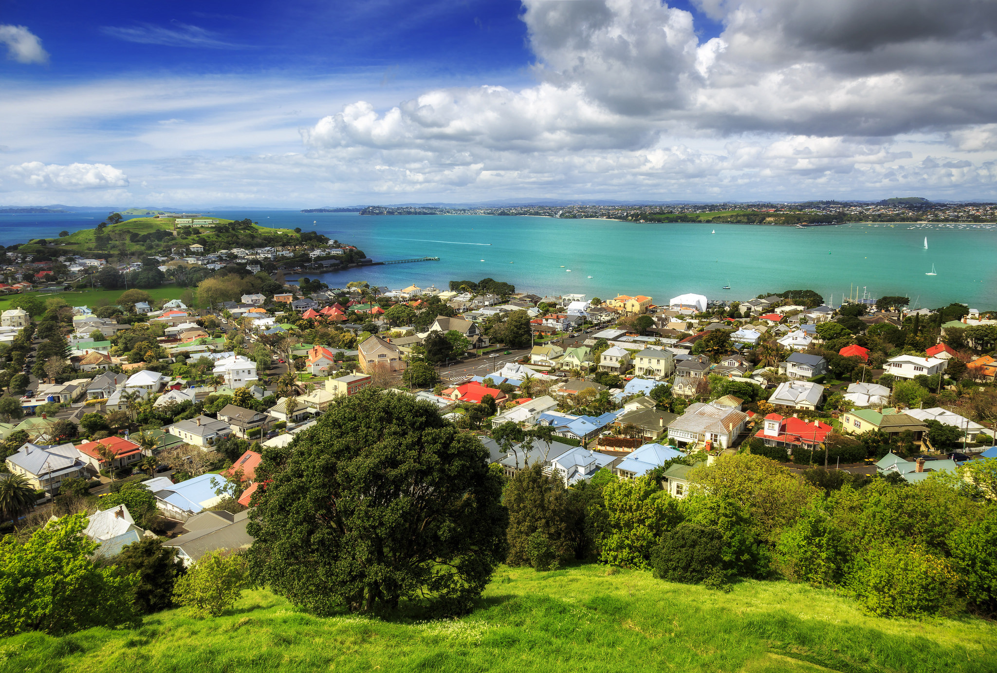 Обои Новая Зеландия город Auckland на рабочий стол