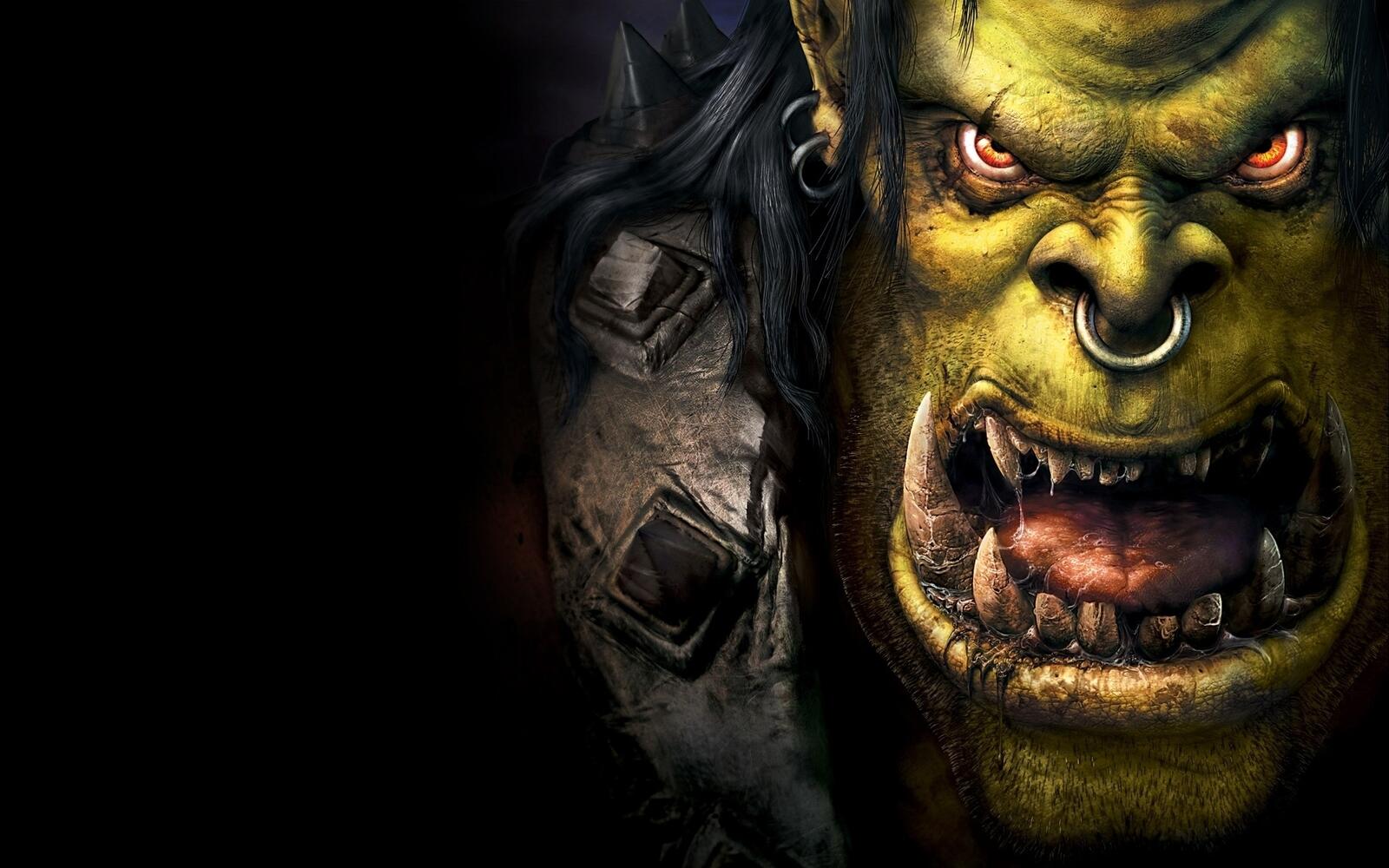 Wallpapers reign of chaos warcraft 3 military craft on the desktop