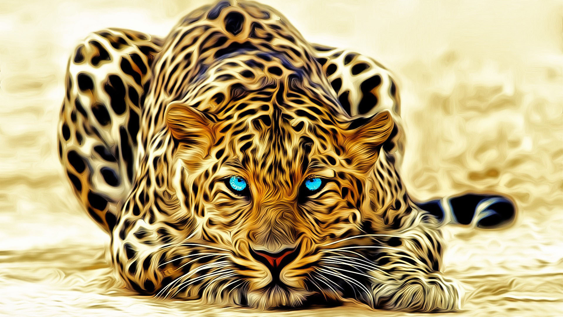 Wallpapers leopard lying color on the desktop