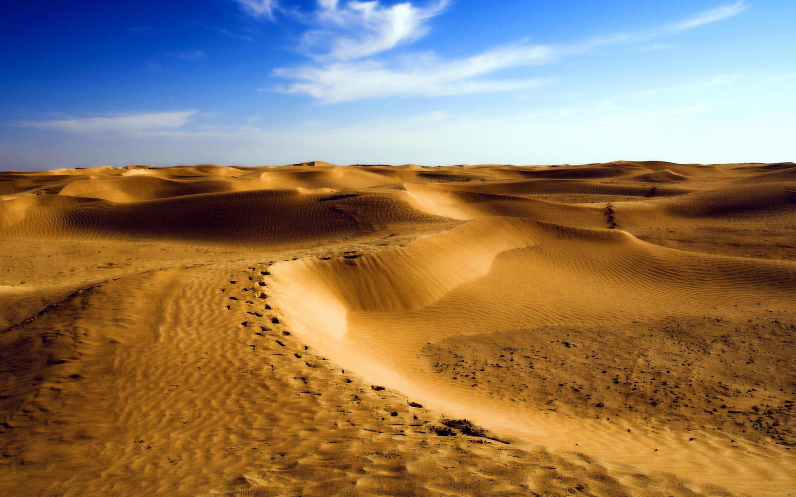 桌面上的壁纸沙漠 撒哈拉 沙丘