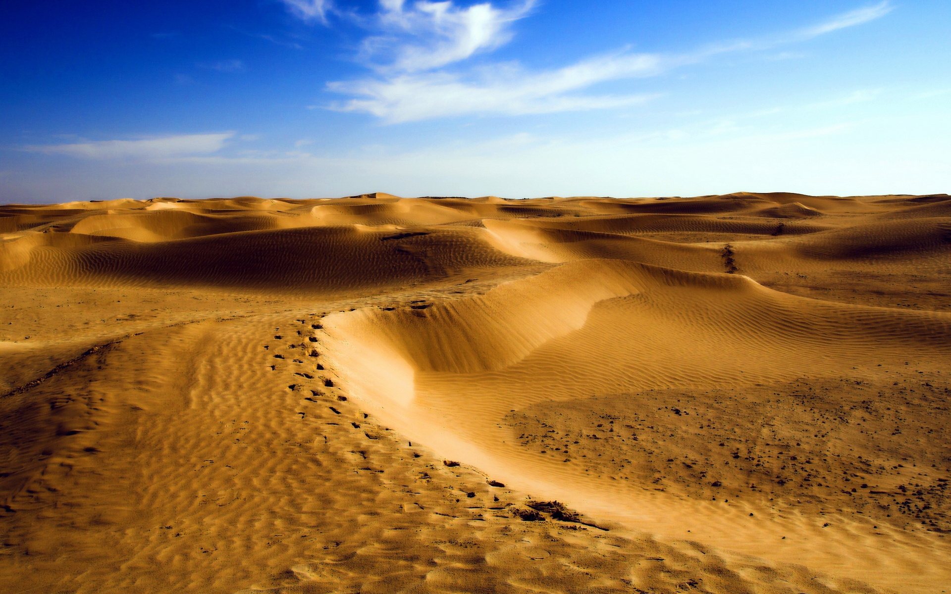 桌面上的壁纸沙漠 撒哈拉 沙丘