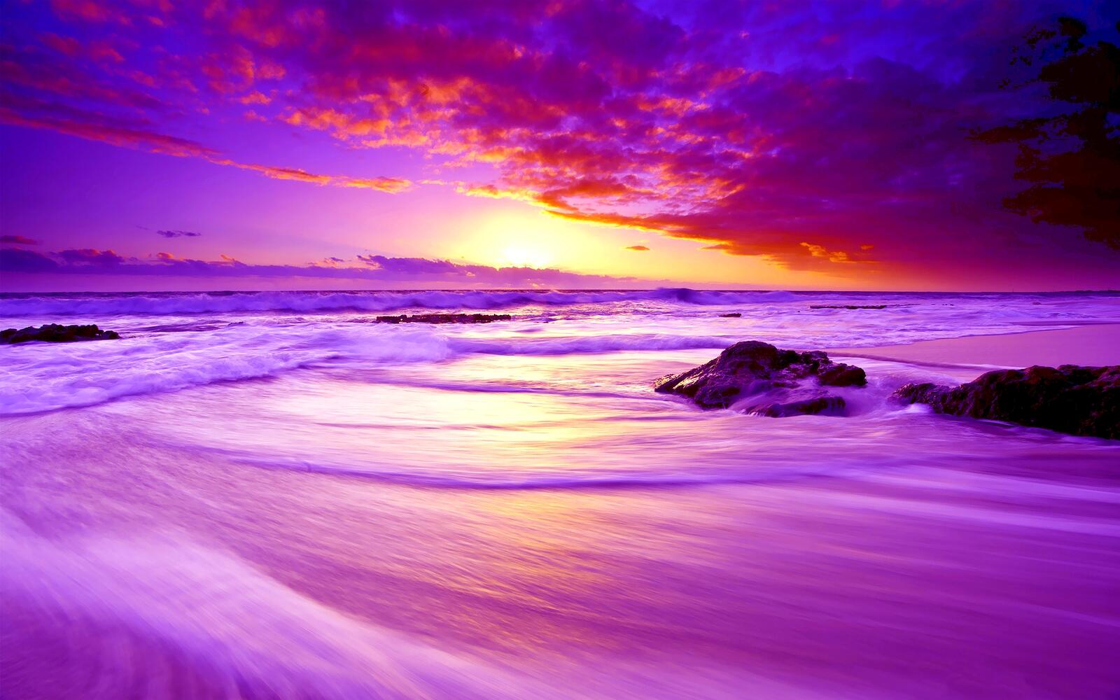 Wallpapers pink sunset sea on the desktop