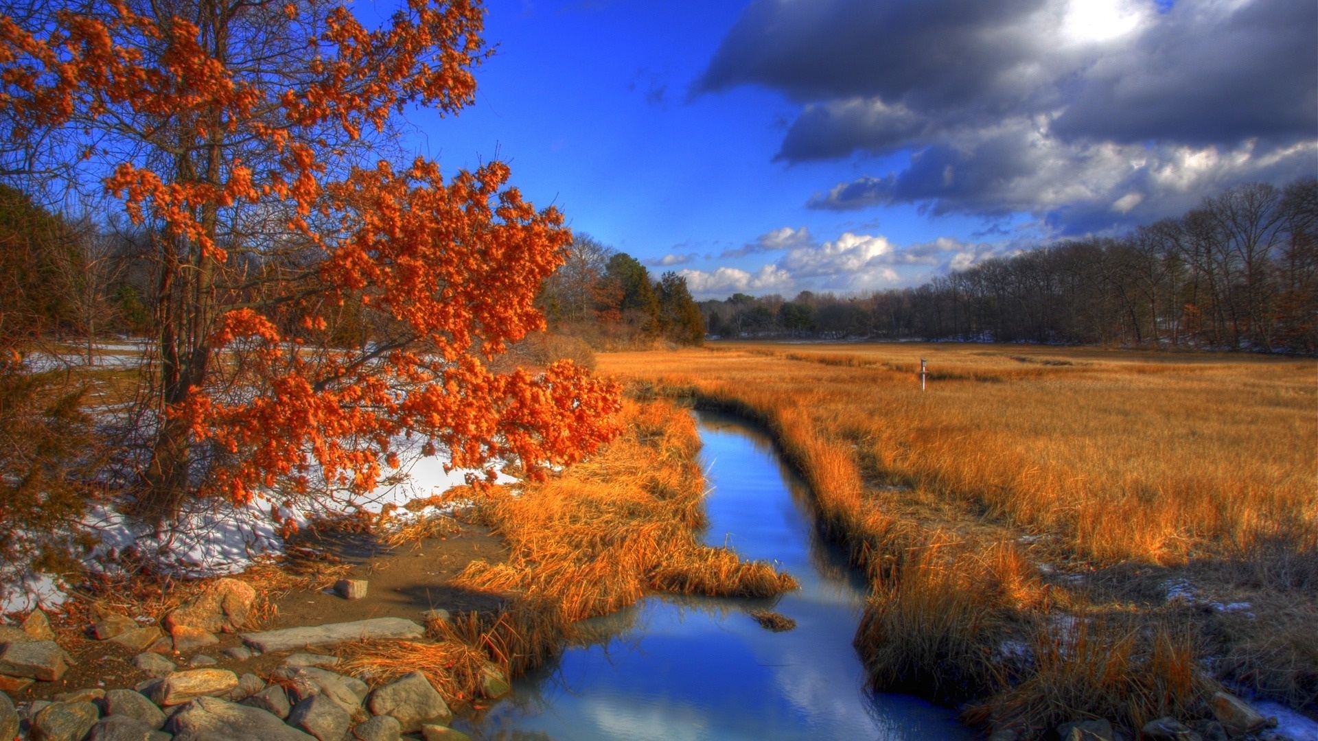 Wallpapers landscapes autumn trees on the desktop