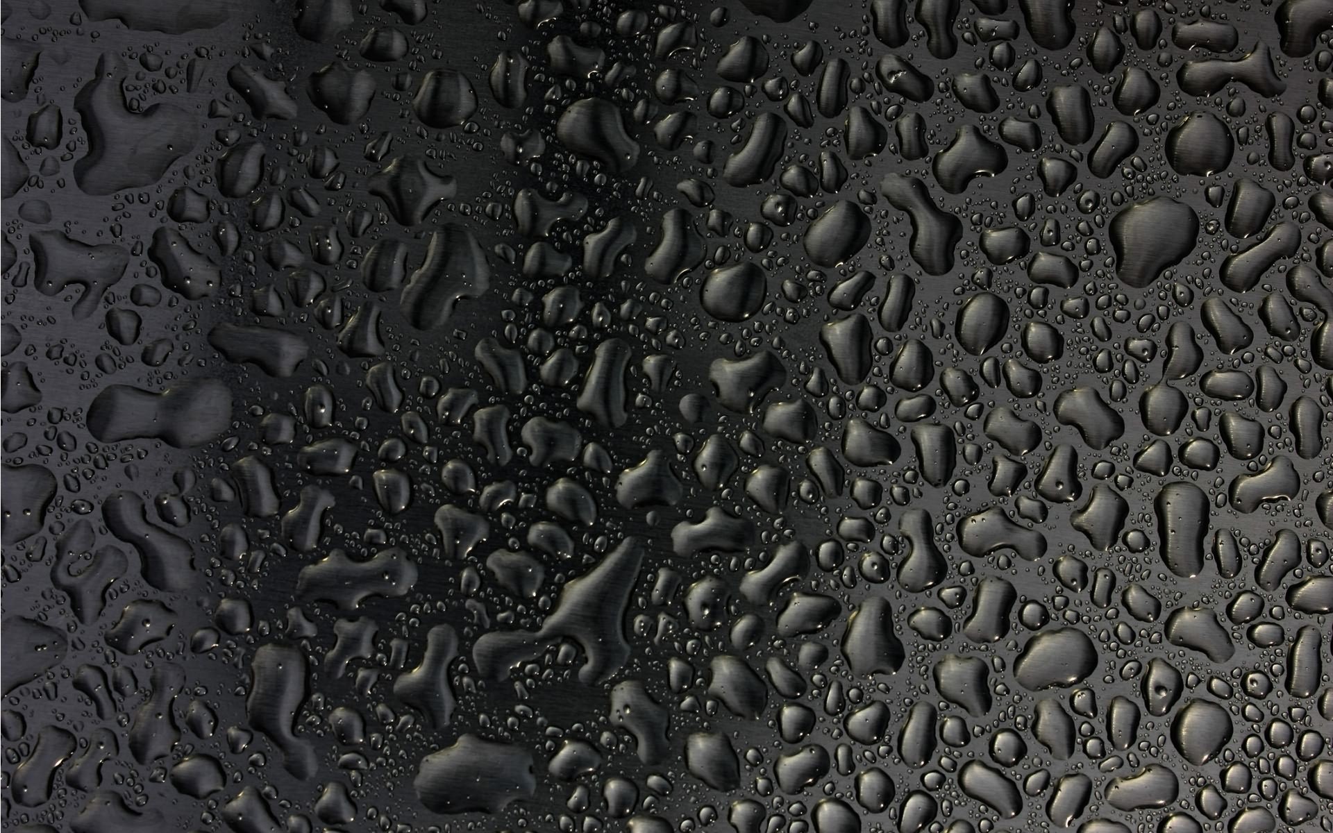 Wallpapers drops dew rain on the desktop