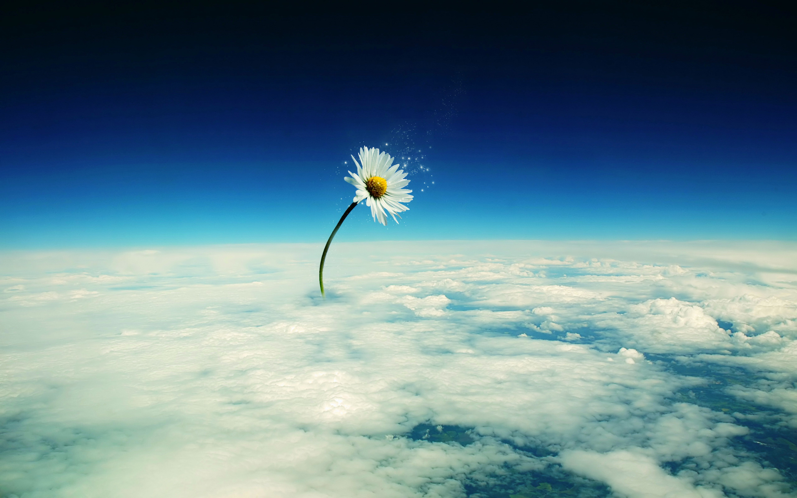 Wallpapers space clouds daisy on the desktop
