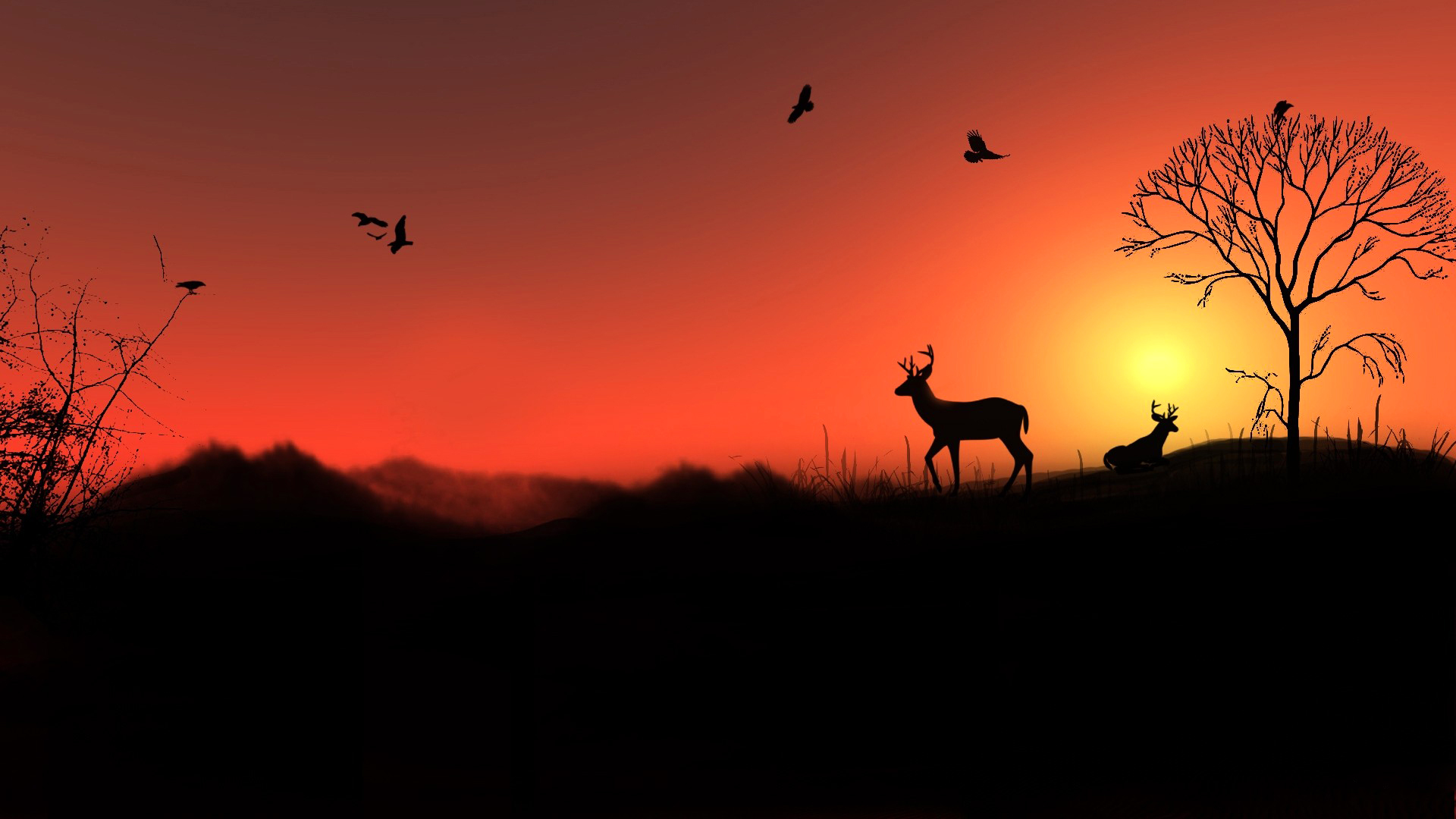 Wallpapers sunset red birds on the desktop