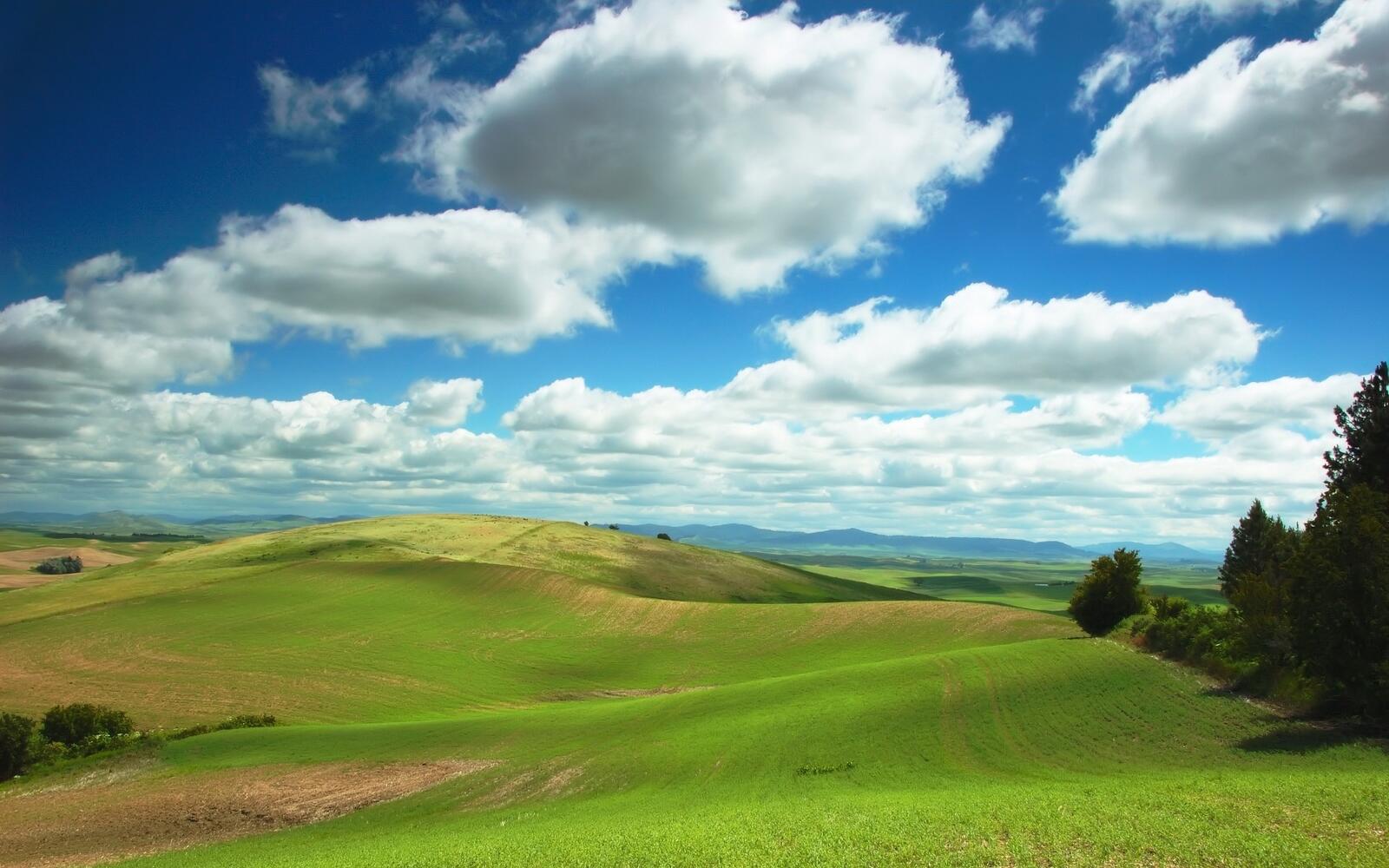 Wallpapers landscapes grass hills on the desktop