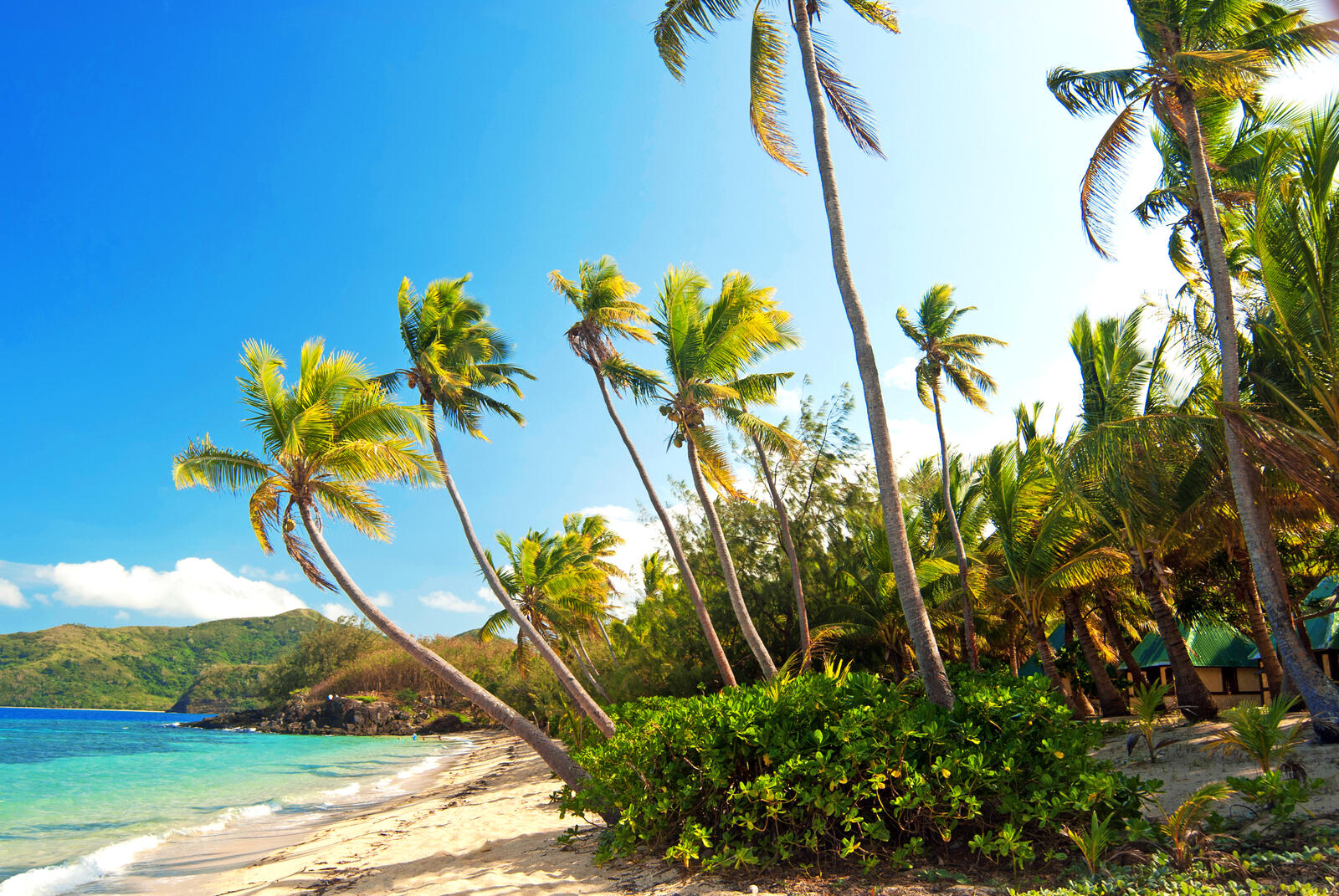 Wallpapers sand beach palm trees landscapes on the desktop