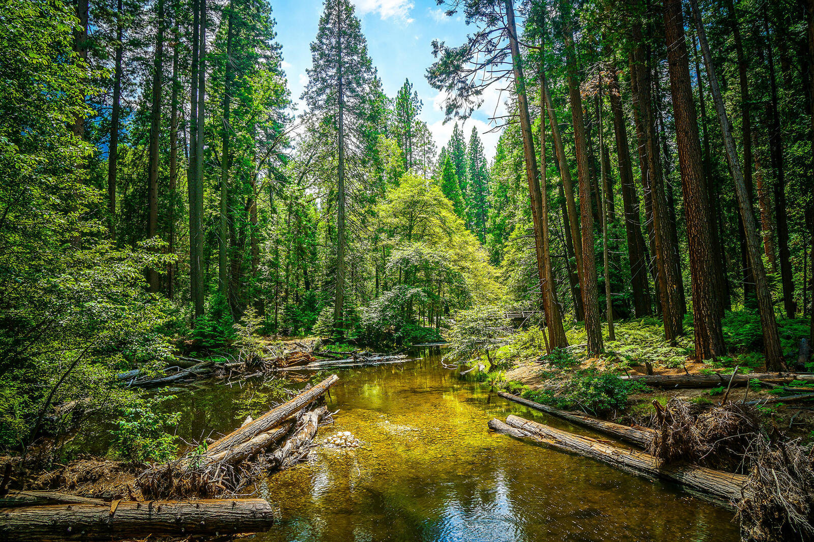 Обои деревья Йосемитский национальный парк река на рабочий стол
