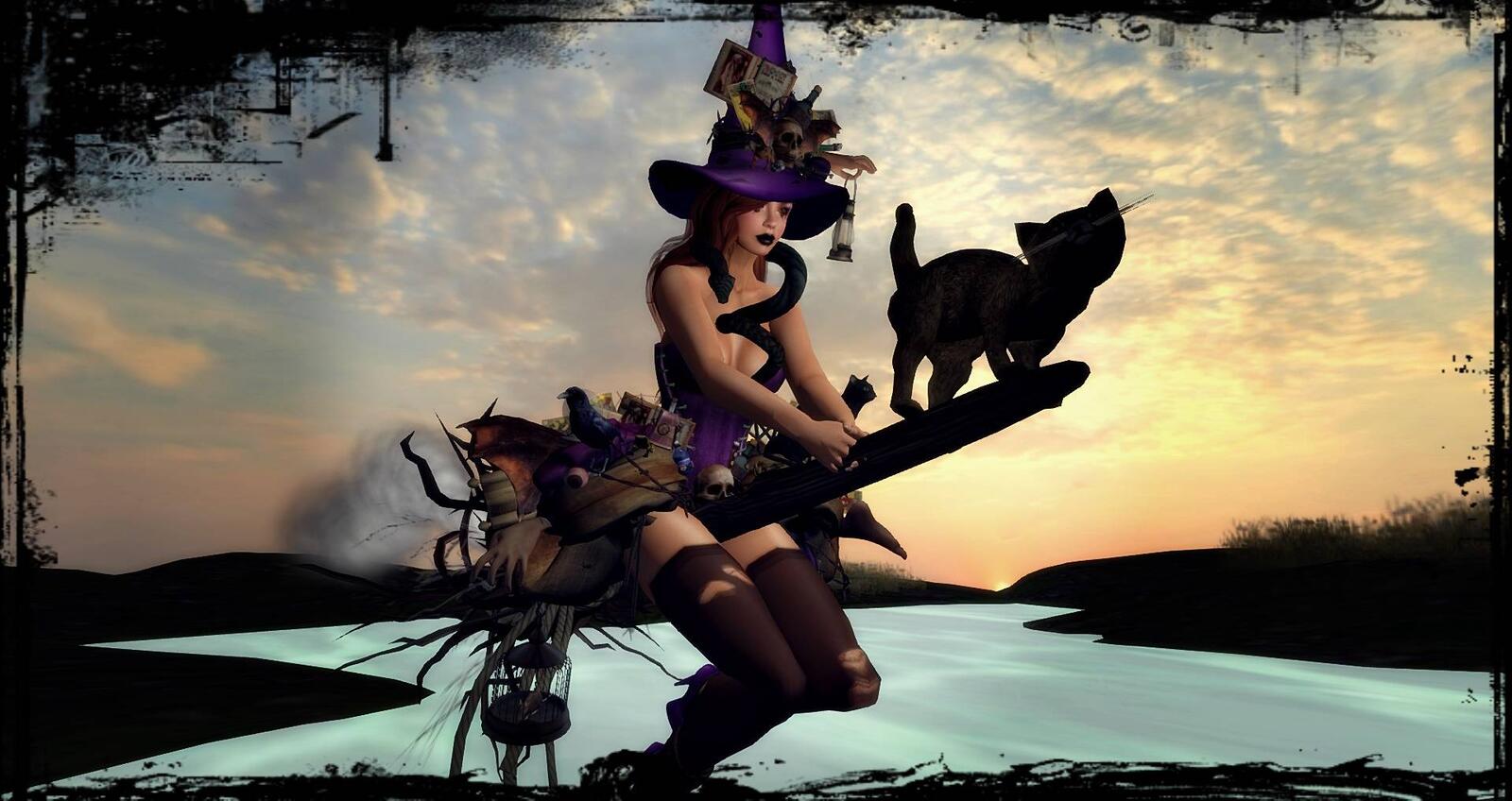 Wallpapers kitten witch on a broom night on the desktop