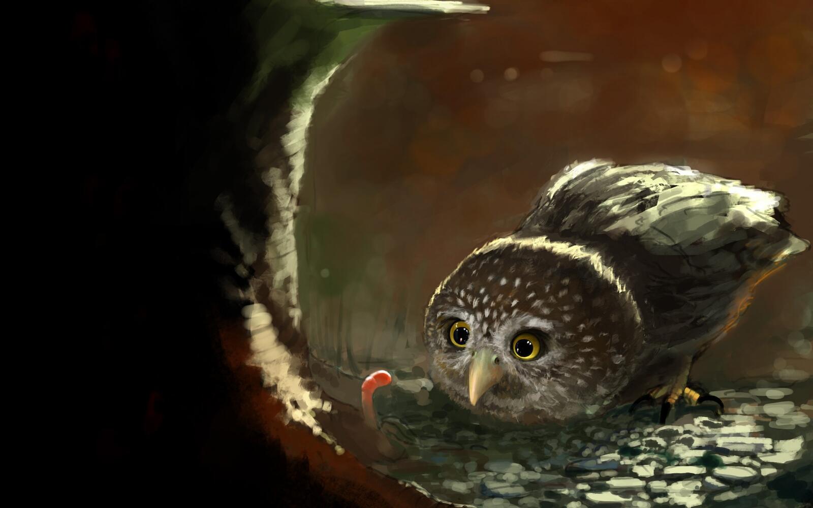 Wallpapers drawing owl earth on the desktop