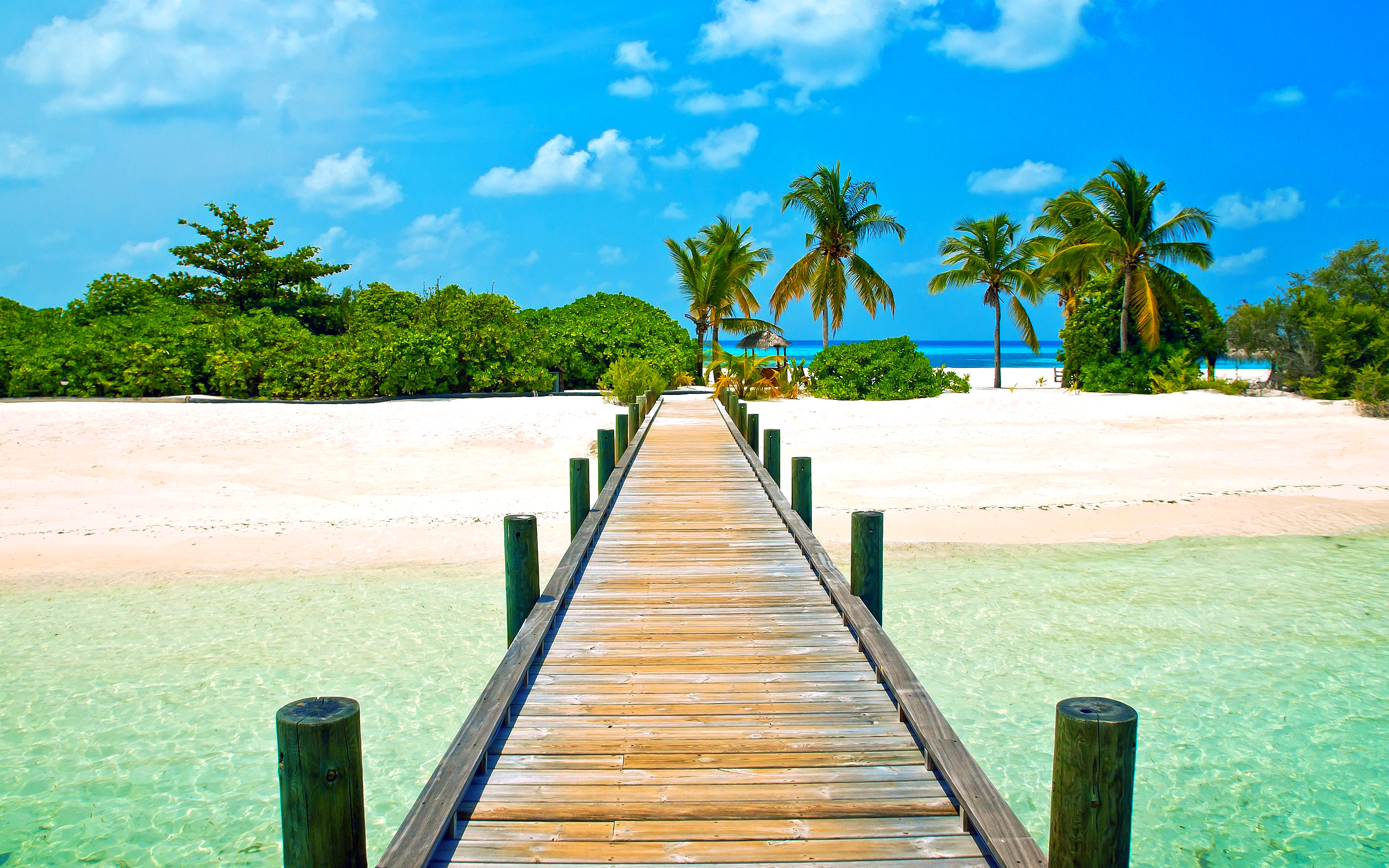 Фото бесплатно пляж, деревянный мост, мост