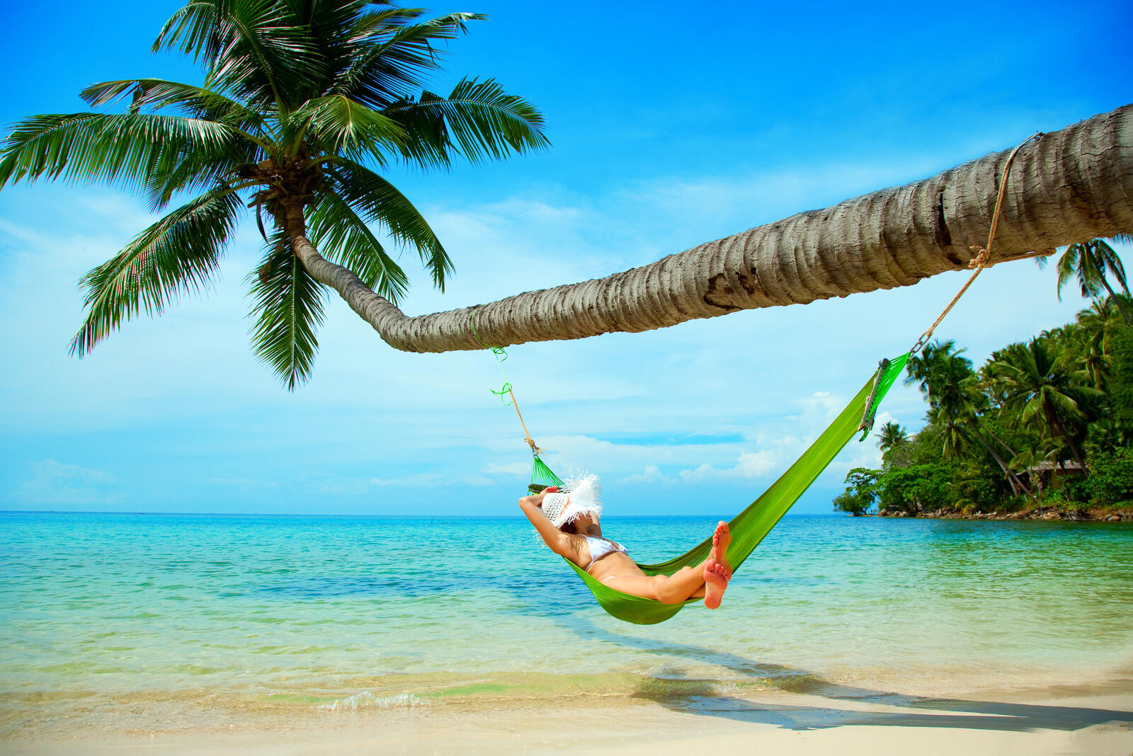Wallpapers beach tropics hammock on the desktop