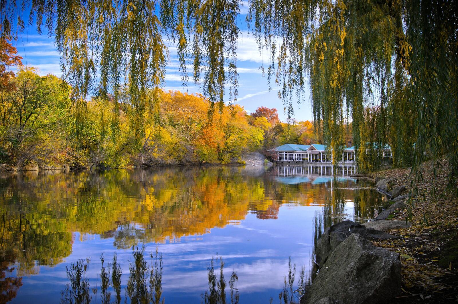 Wallpapers central park of new york autumn pond on the desktop