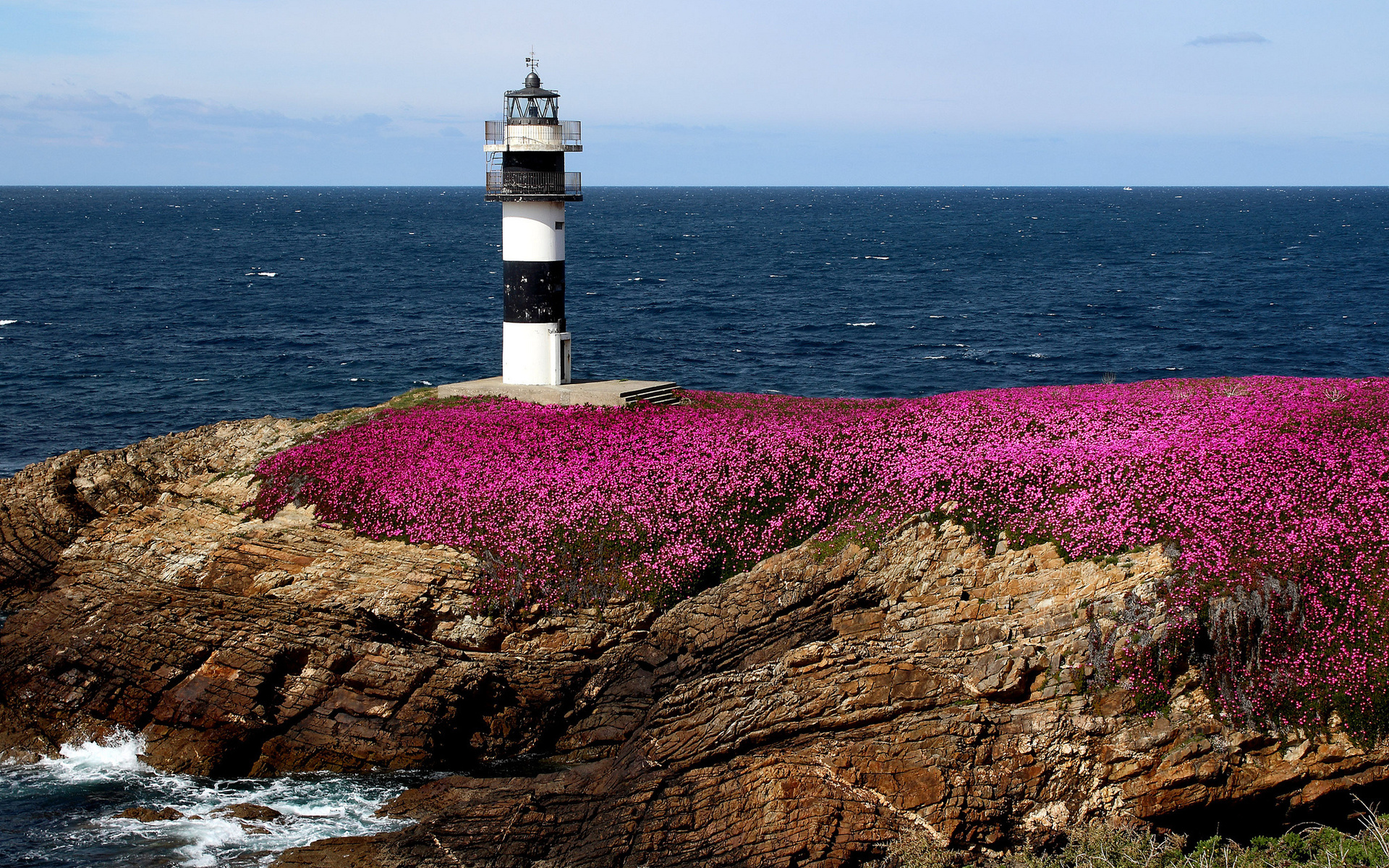 Wallpapers lighthouse flowers stones on the desktop