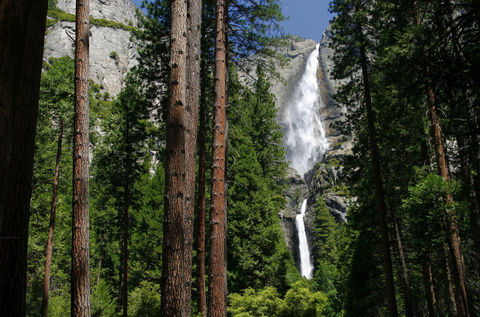 Обои водопад скала лес на рабочий стол