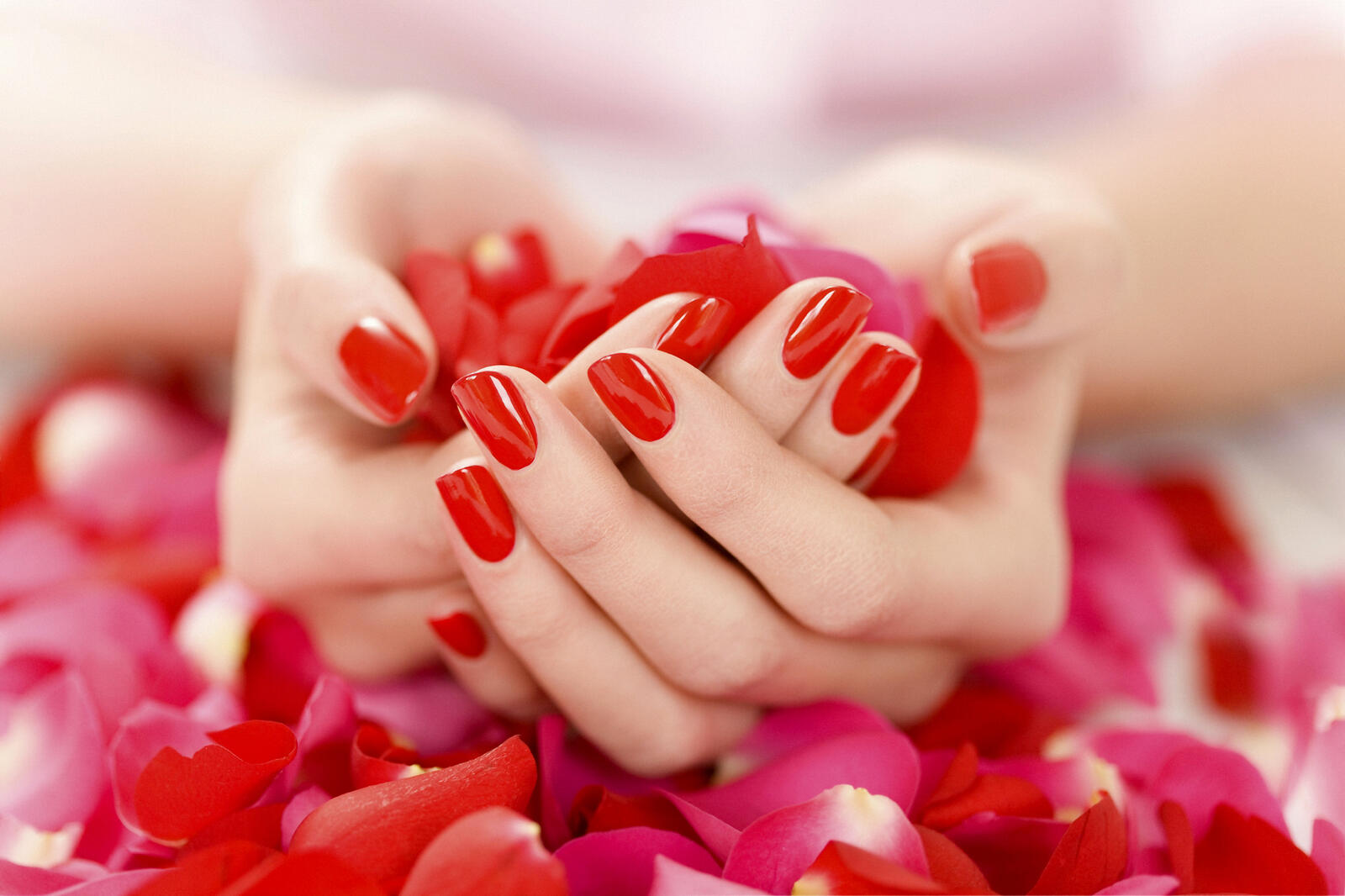Wallpapers nails manicure red on the desktop
