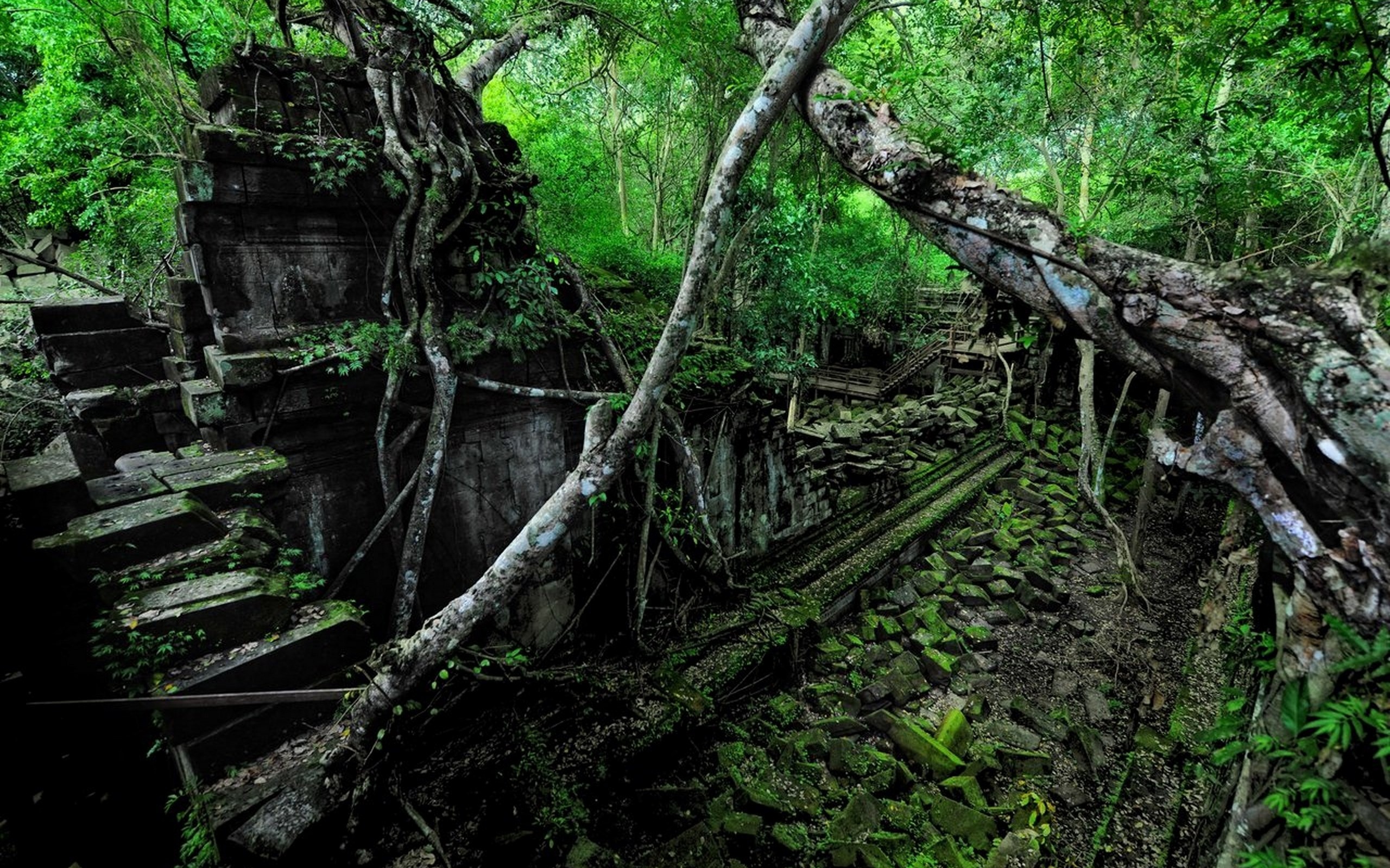 Заброшенное здание в джунглях бесплатно