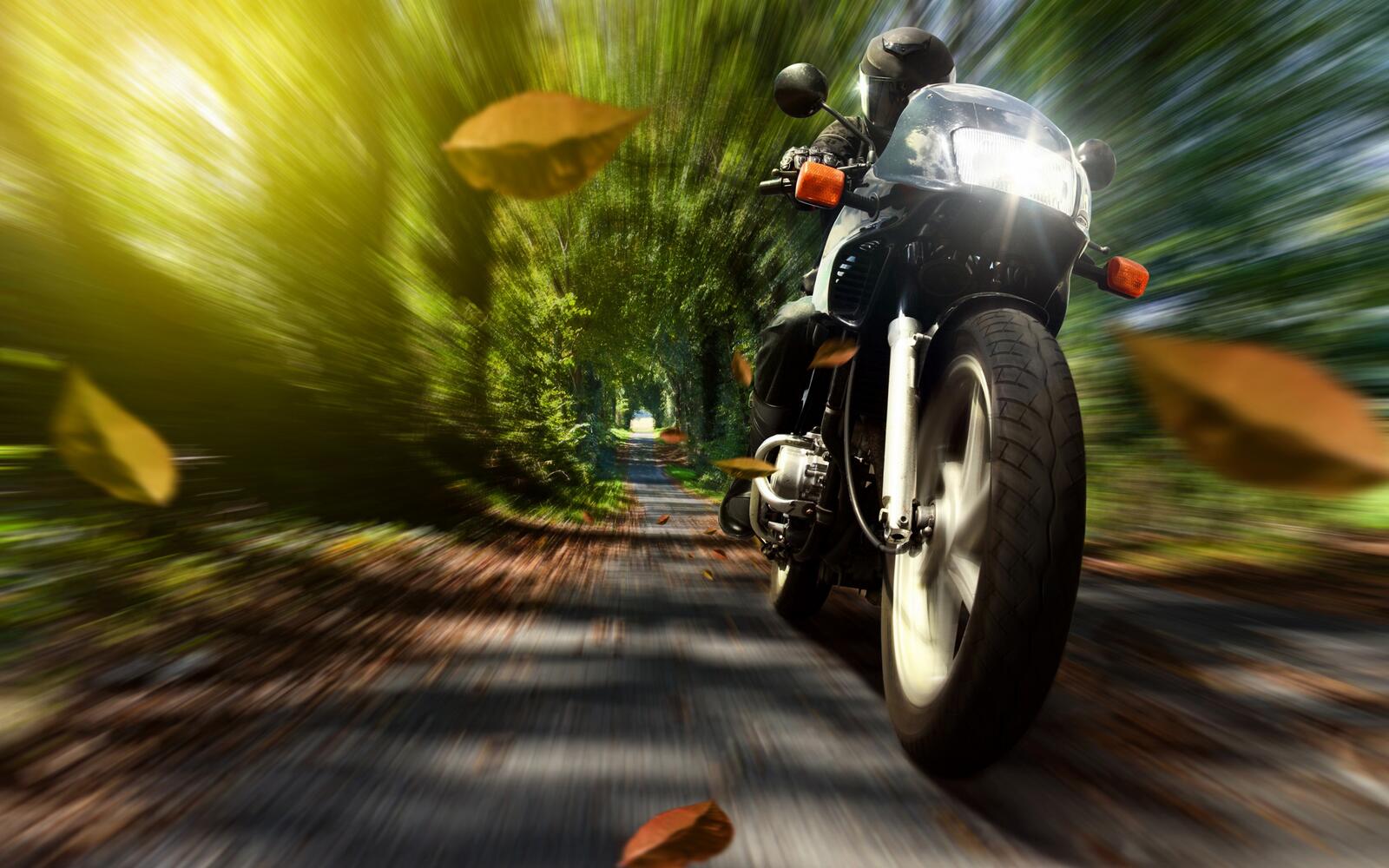 Wallpapers bike motorcyclist speed on the desktop