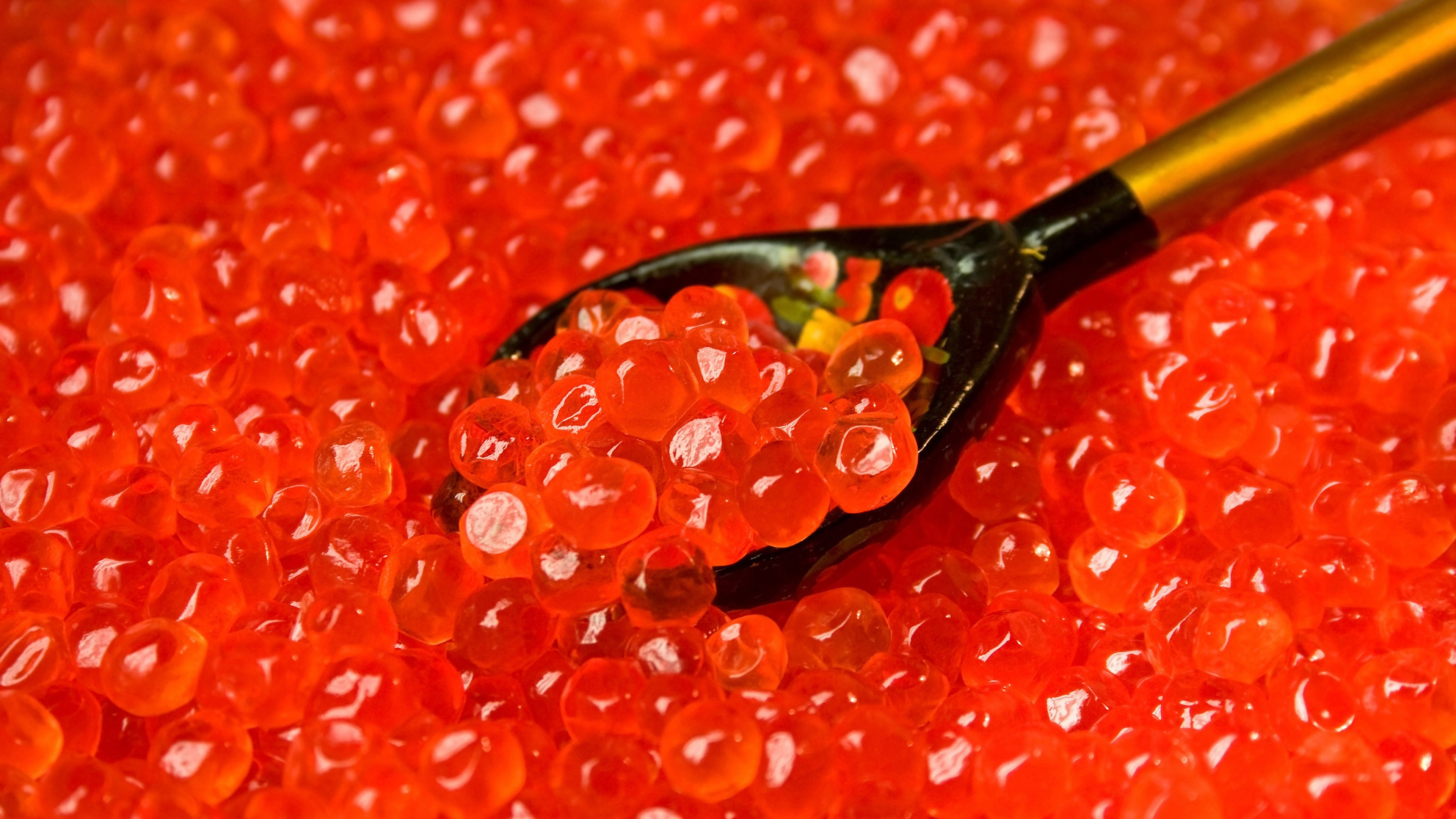Wallpapers caviar red grainy on the desktop