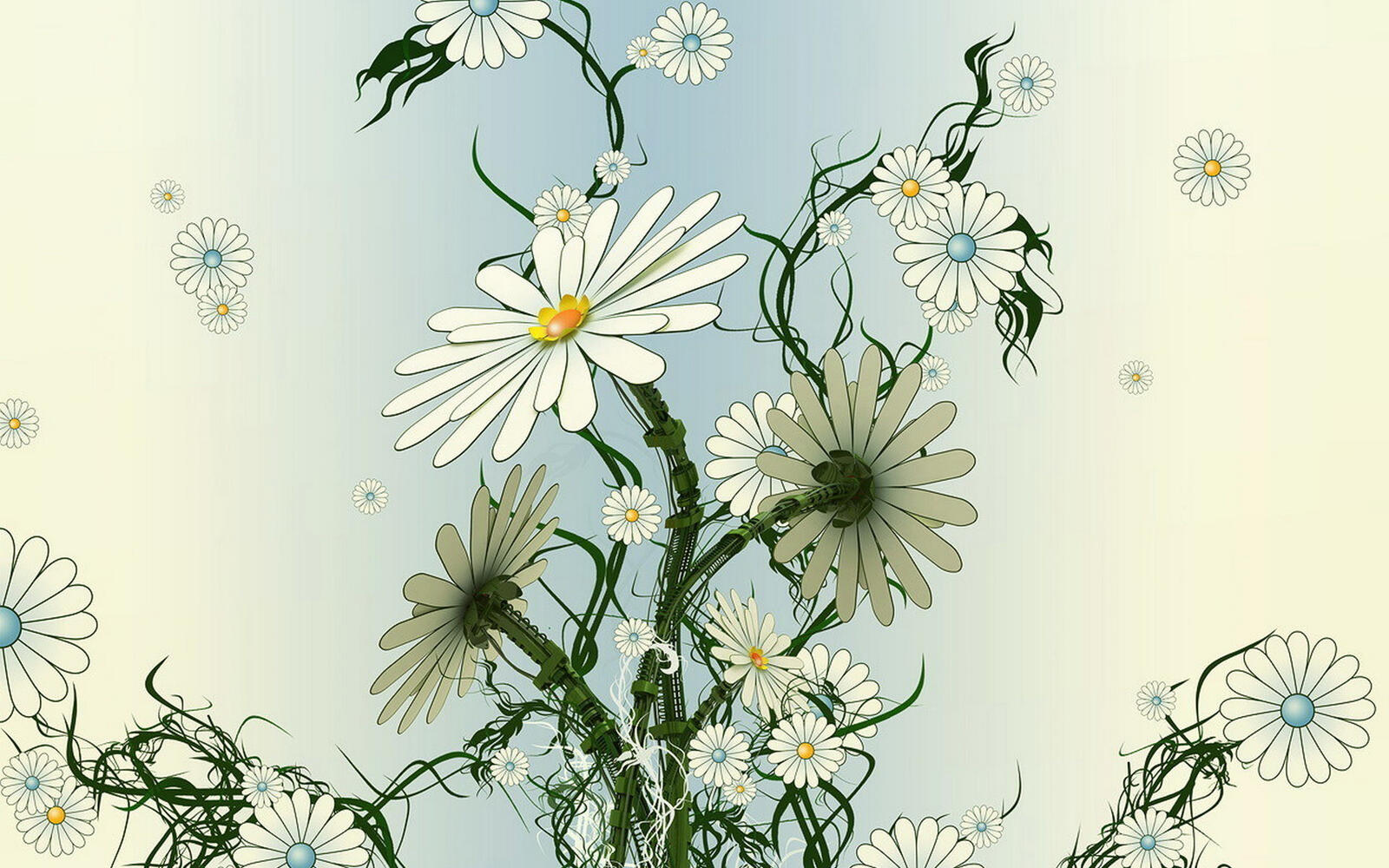 Wallpapers daisies white yellow on the desktop