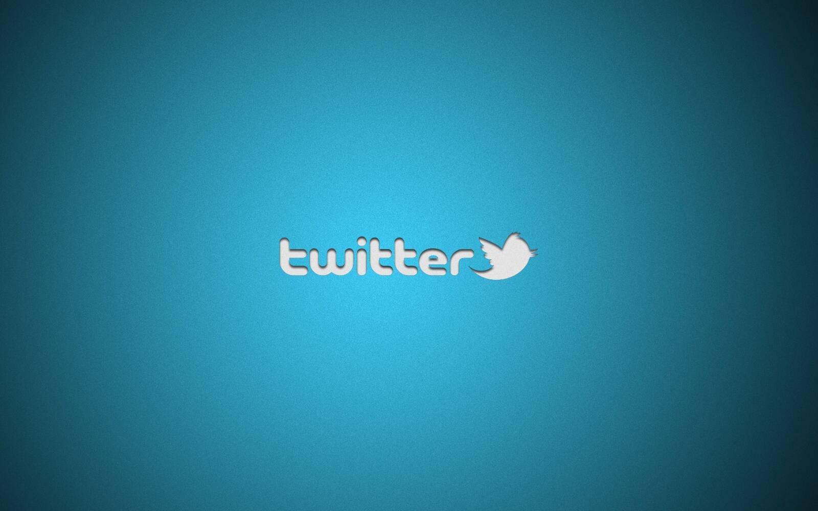 Wallpapers twitter logo inscription on the desktop